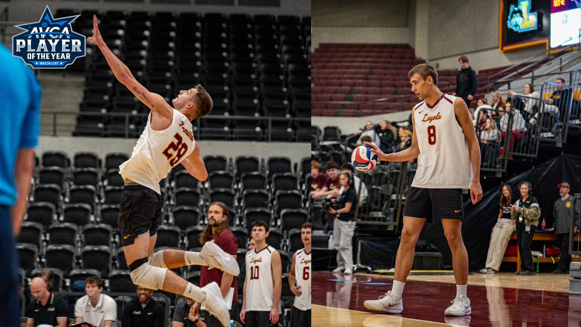 AVCA POTY Watchlist Cover Image