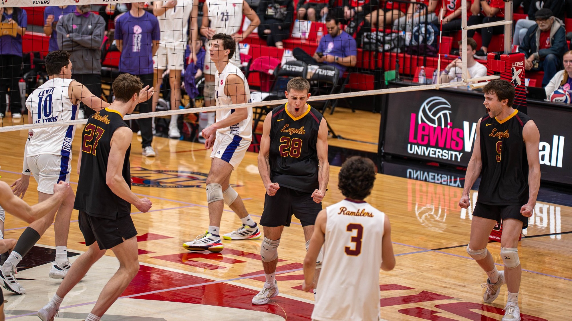 Daniel Fabikovic celly