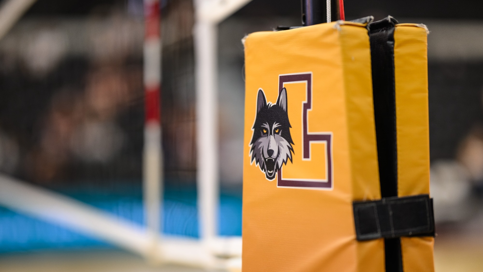 Volleyball Net