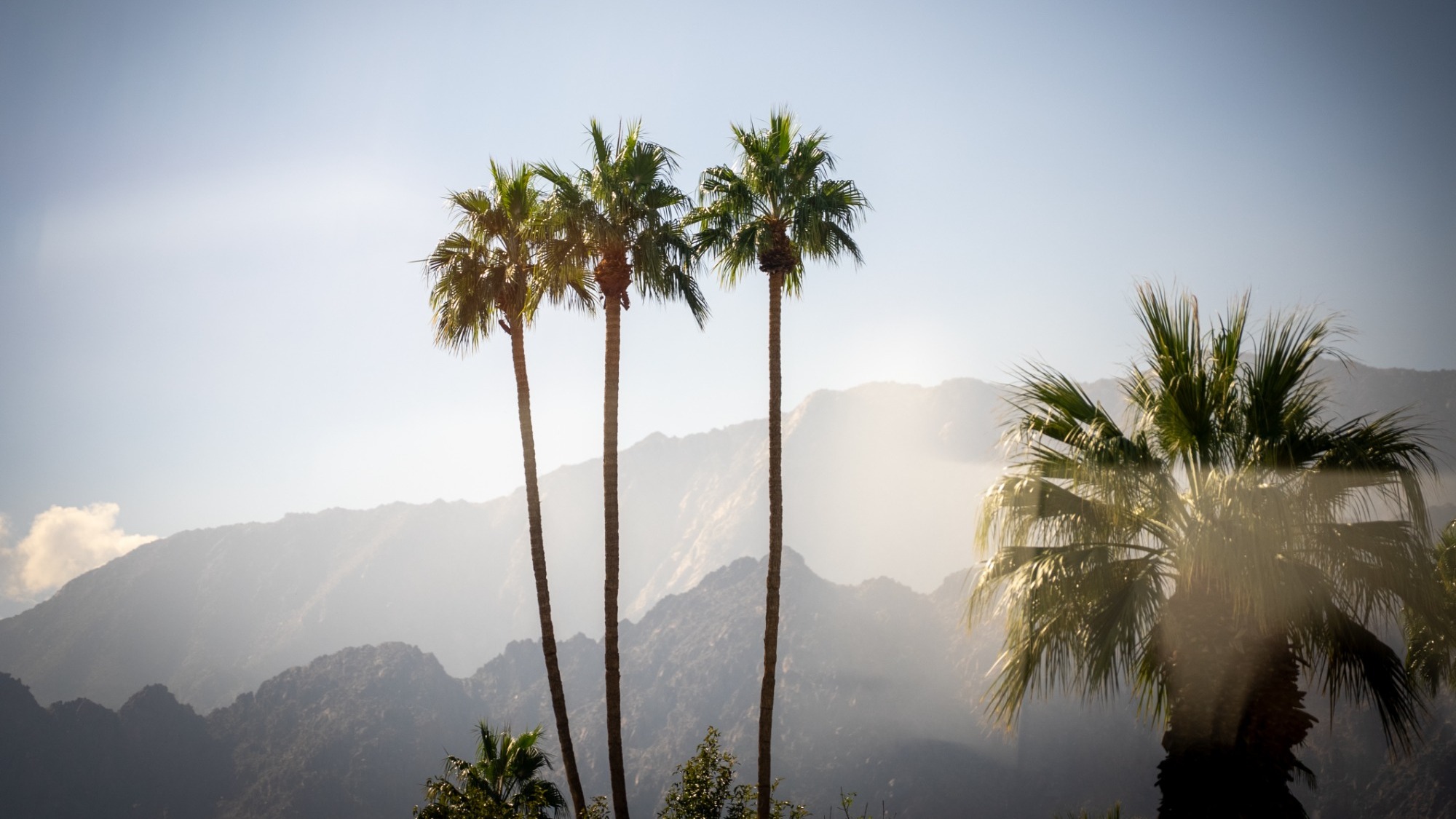 Palm Springs