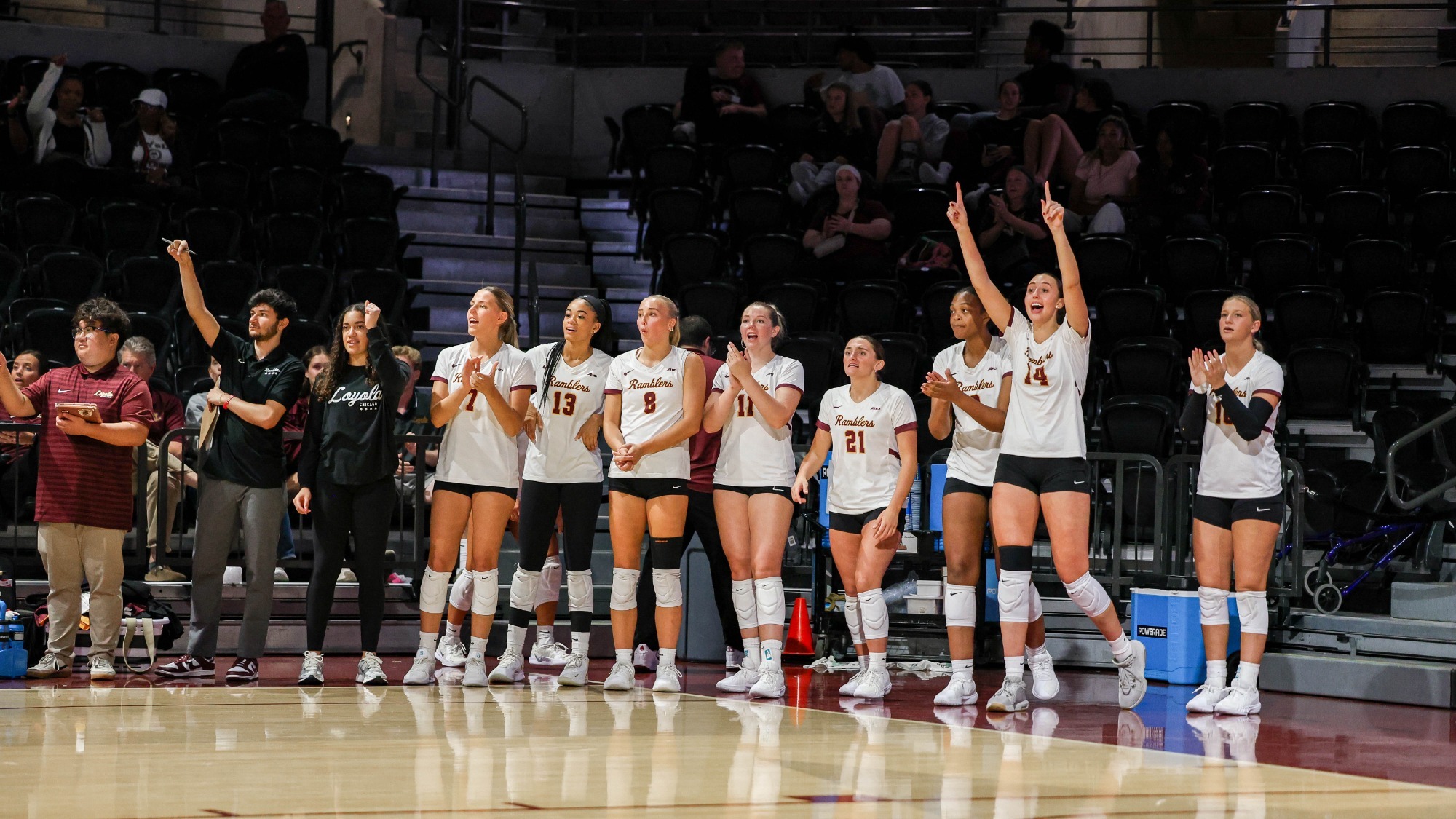 WVB Bench Celly