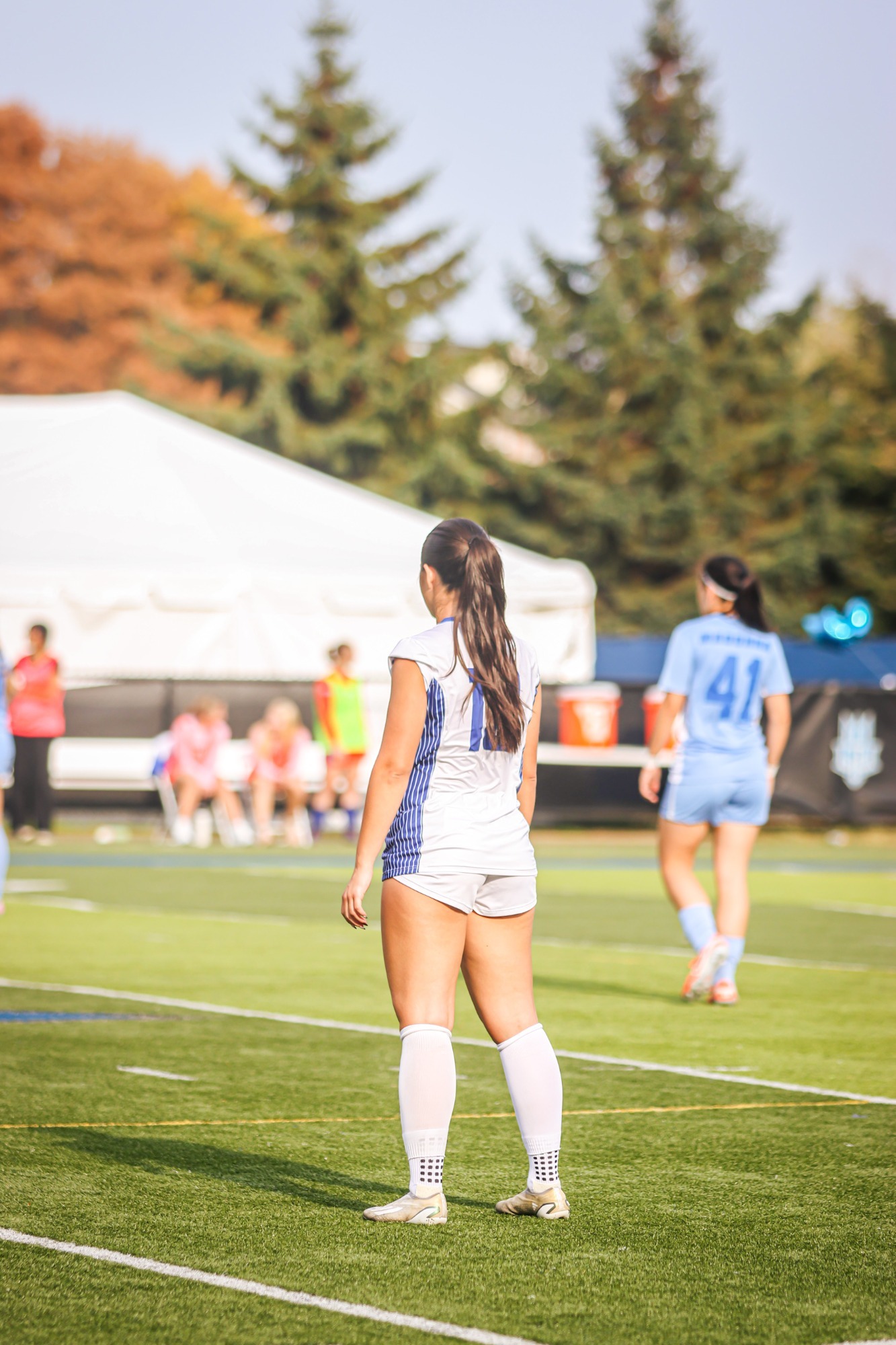 wsoc