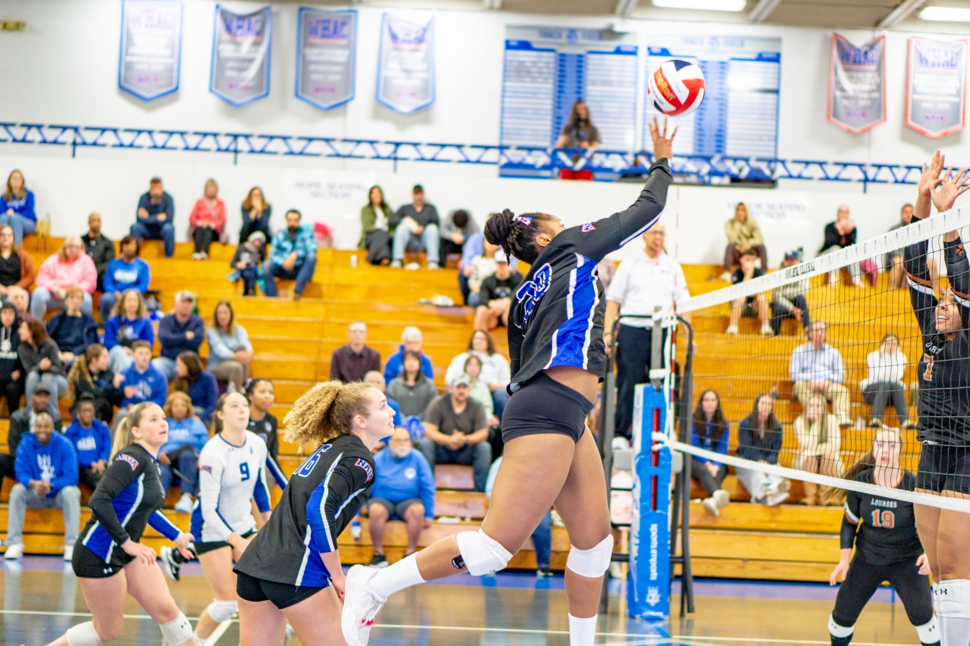 wvb