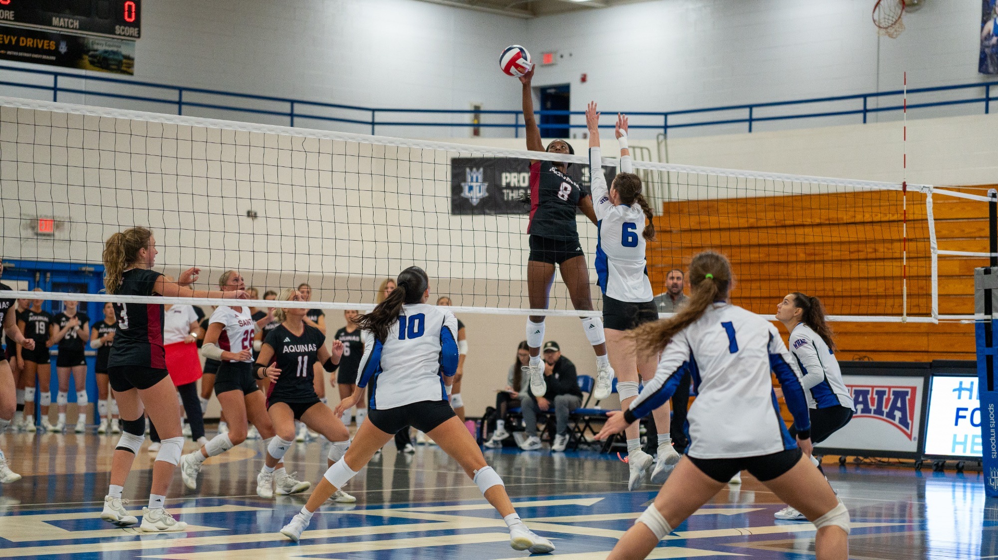 wvb