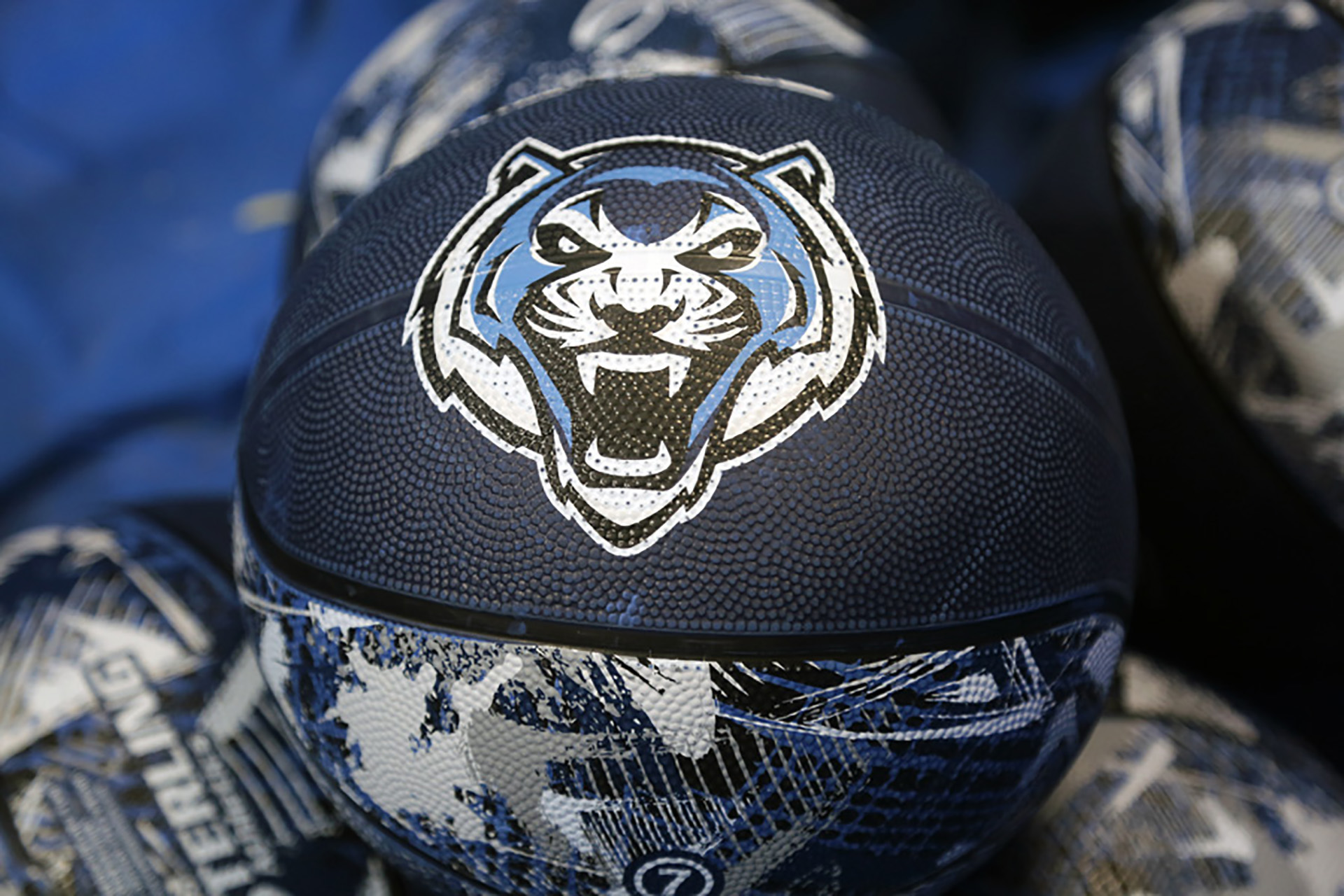 Basketballs With the Blue Tiger Logo
