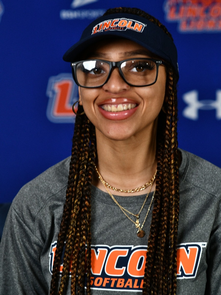 Ari Softball Manager 