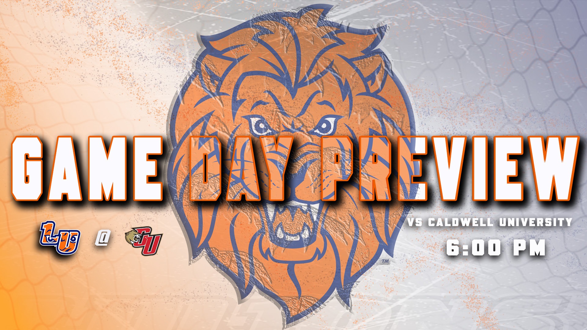 Volleyball preview 2