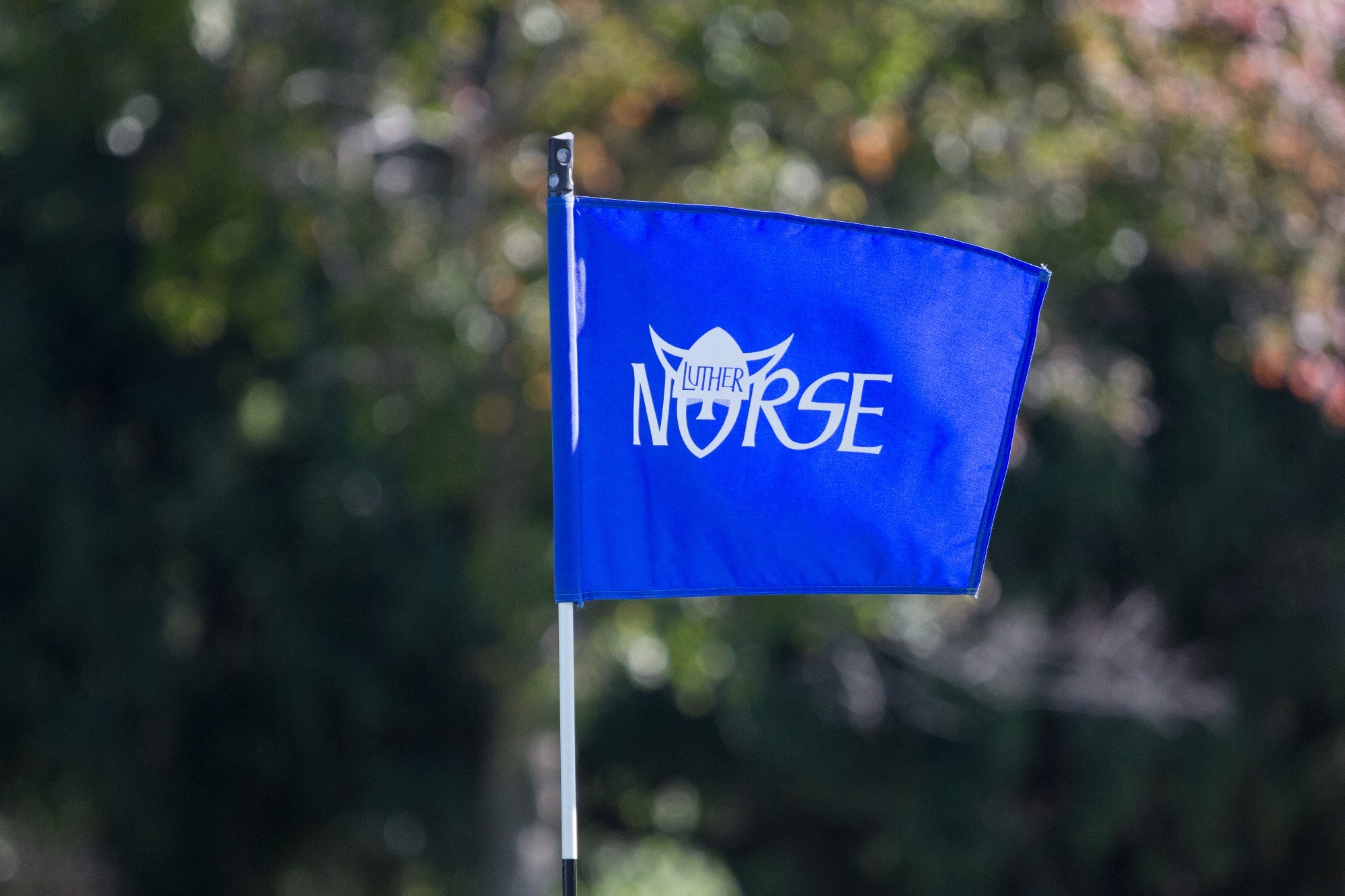Norse Golf Flag