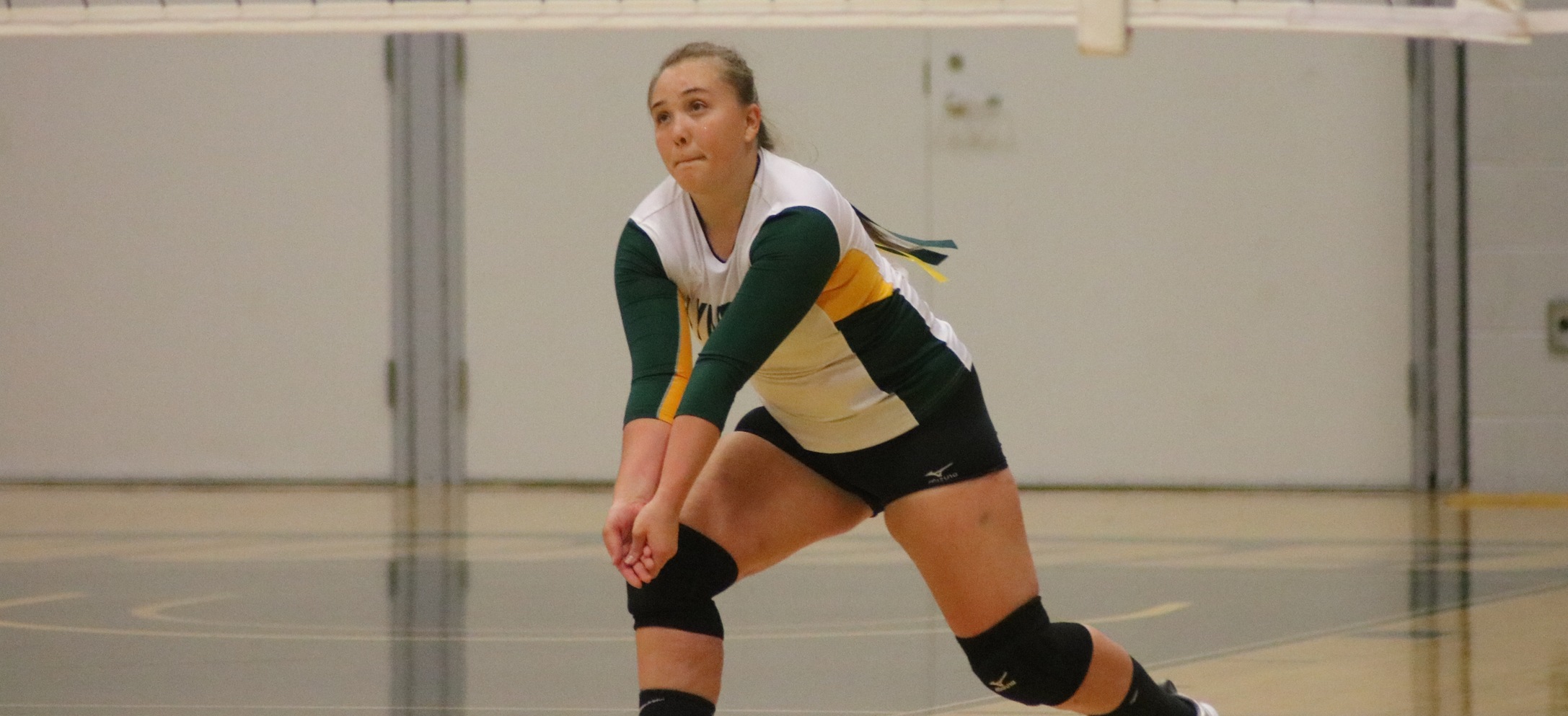volleyball drops nonconference matchup to Anna Maria Northern