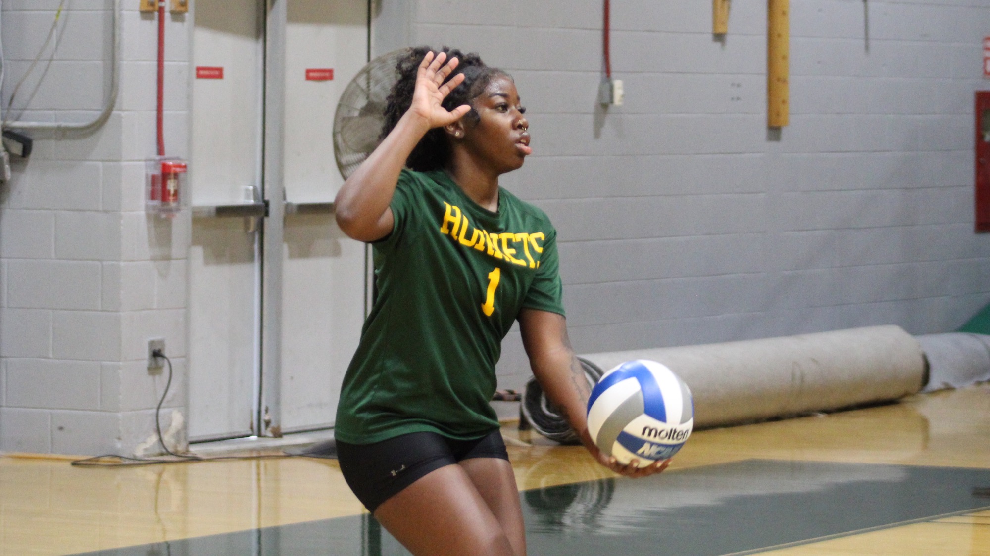 VB vs SUNY Cobleskill