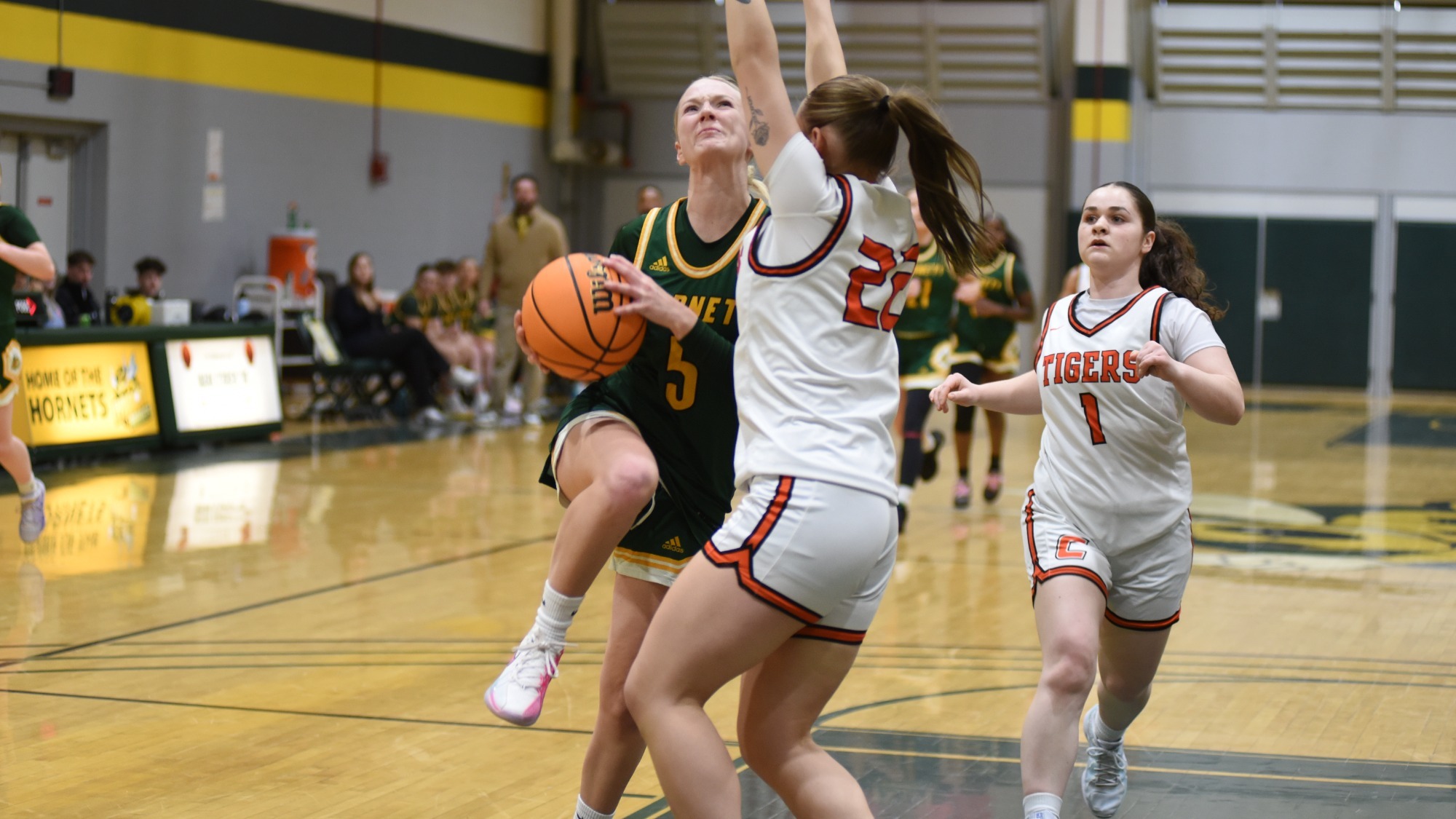 WBB vs SUNY Cobleskill