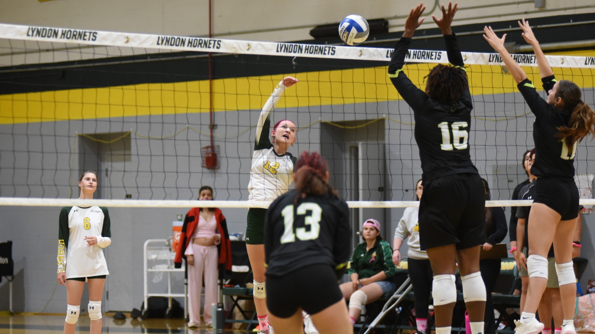 Volleyball vs Lesley