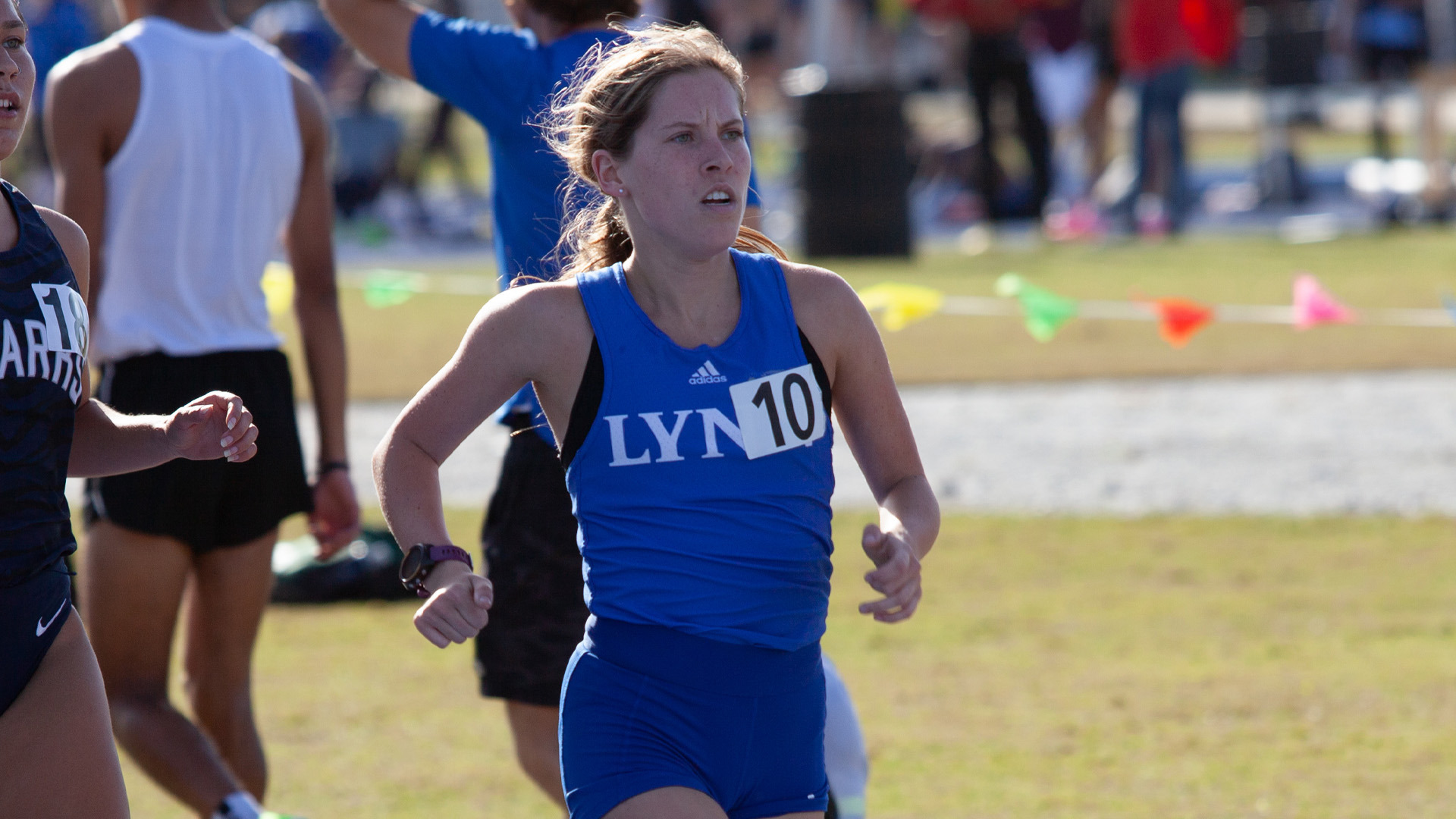 Vignes 1920x1080 33123