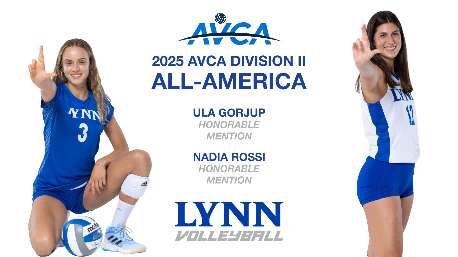 VB_AVCA All-America_2025