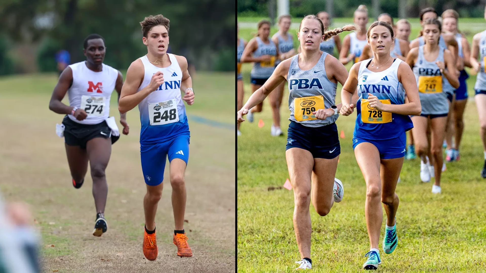 Lynn XC 2025 Preview Cover