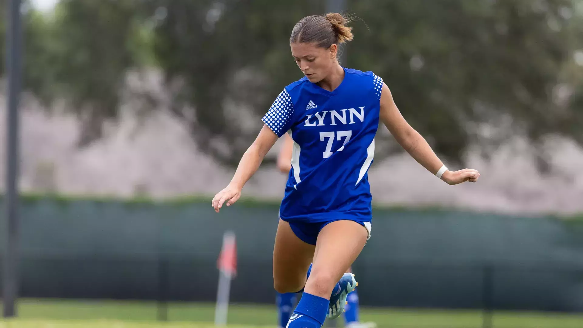 WSOC vs. Holy Family