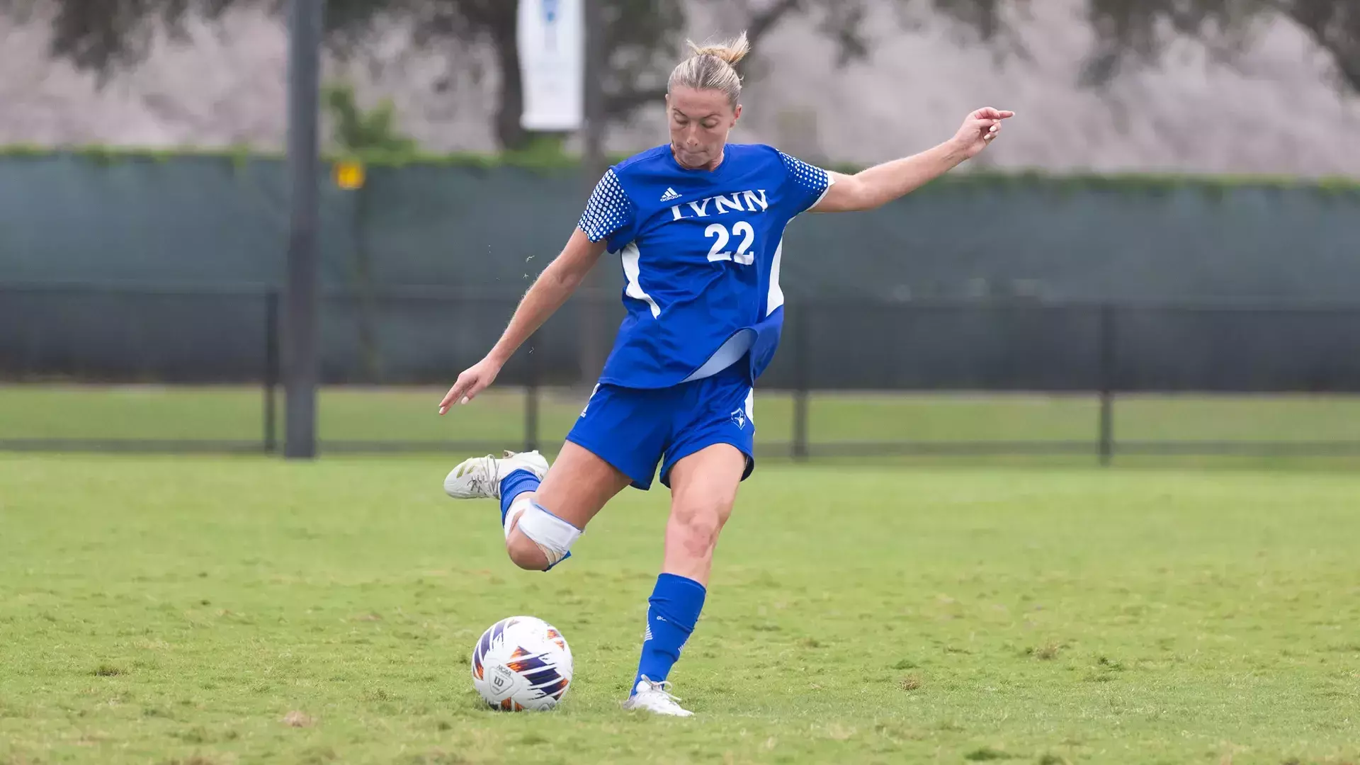 WSOC vs. Holy Family