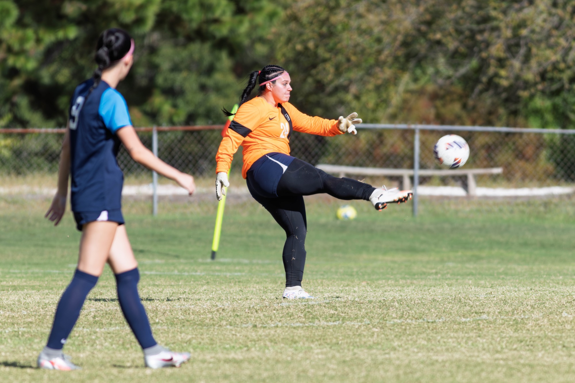WSOC | Lyon vs Greenville