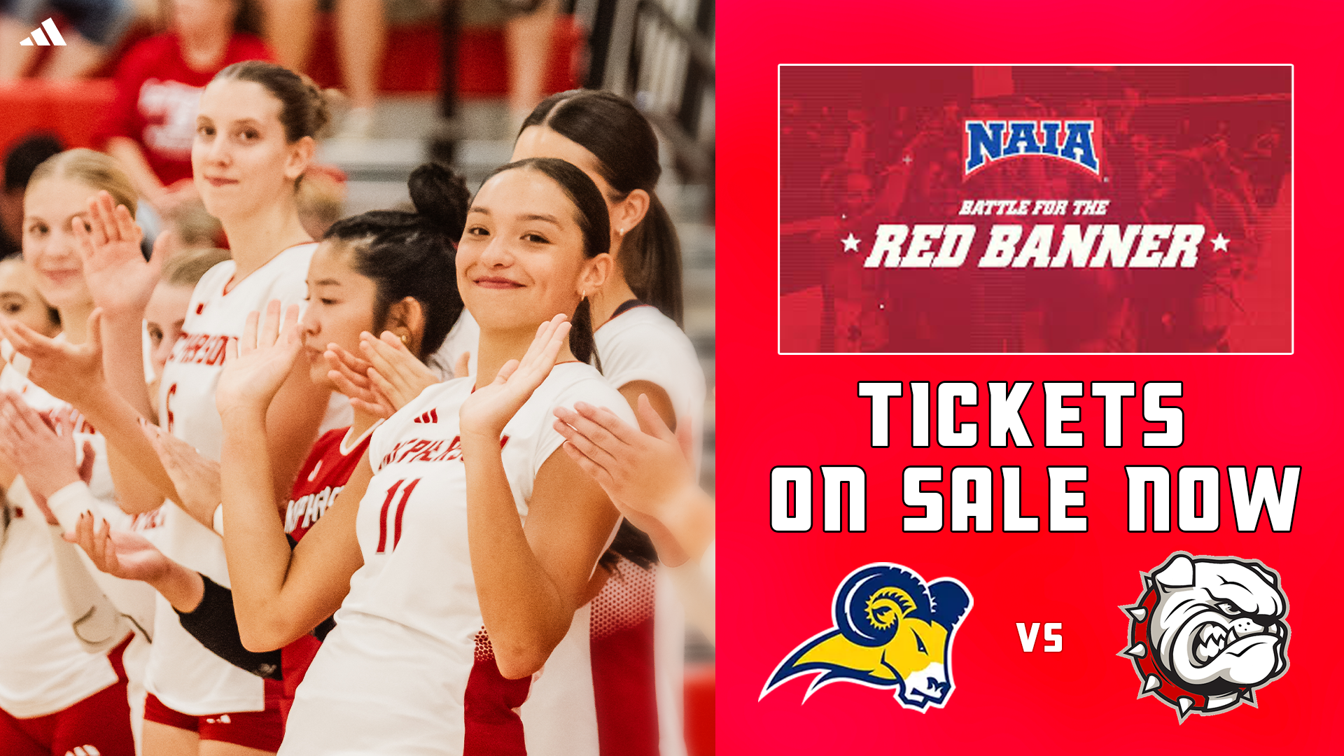Ticketing Article