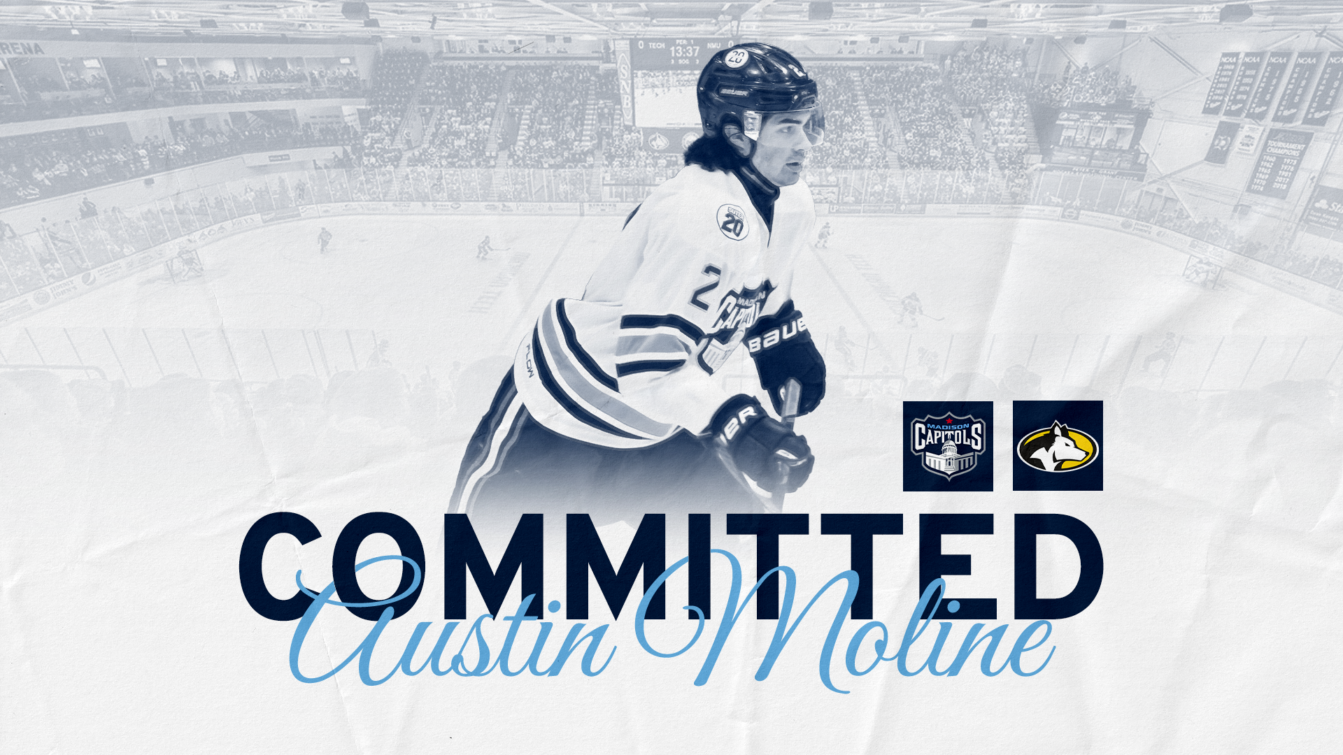 Austin Moline Committed392juigaksdf