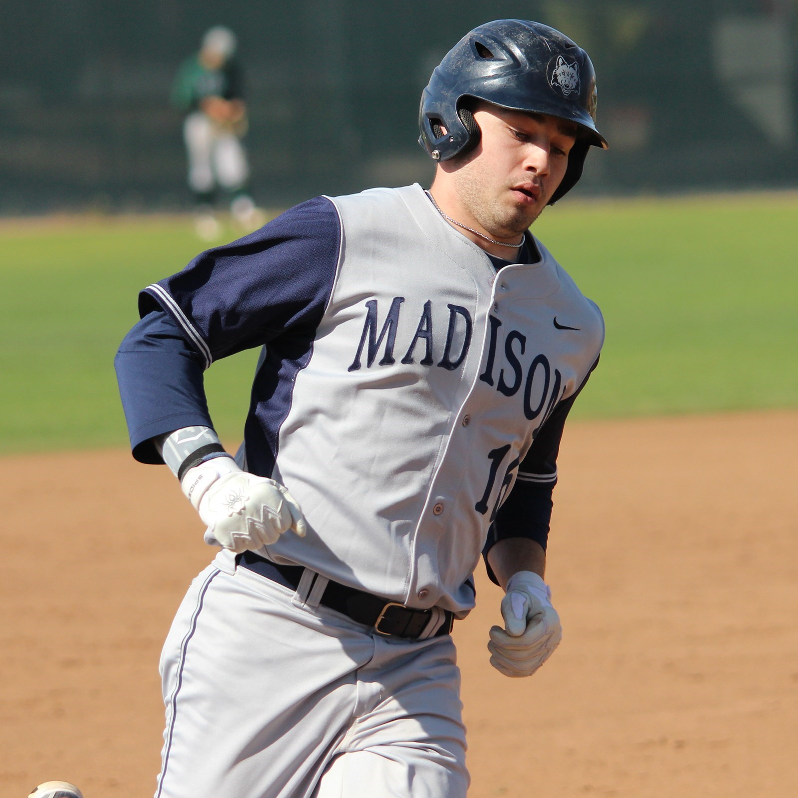 Grant Alderman 2014 Baseball Madison College Athletics