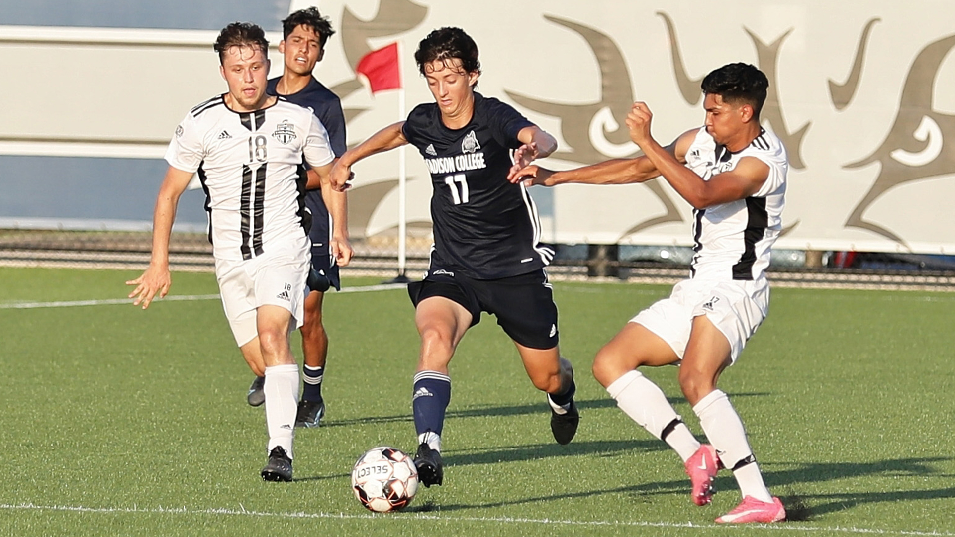 Matthew Ruggiero 2021 Men's Soccer Madison College Athletics