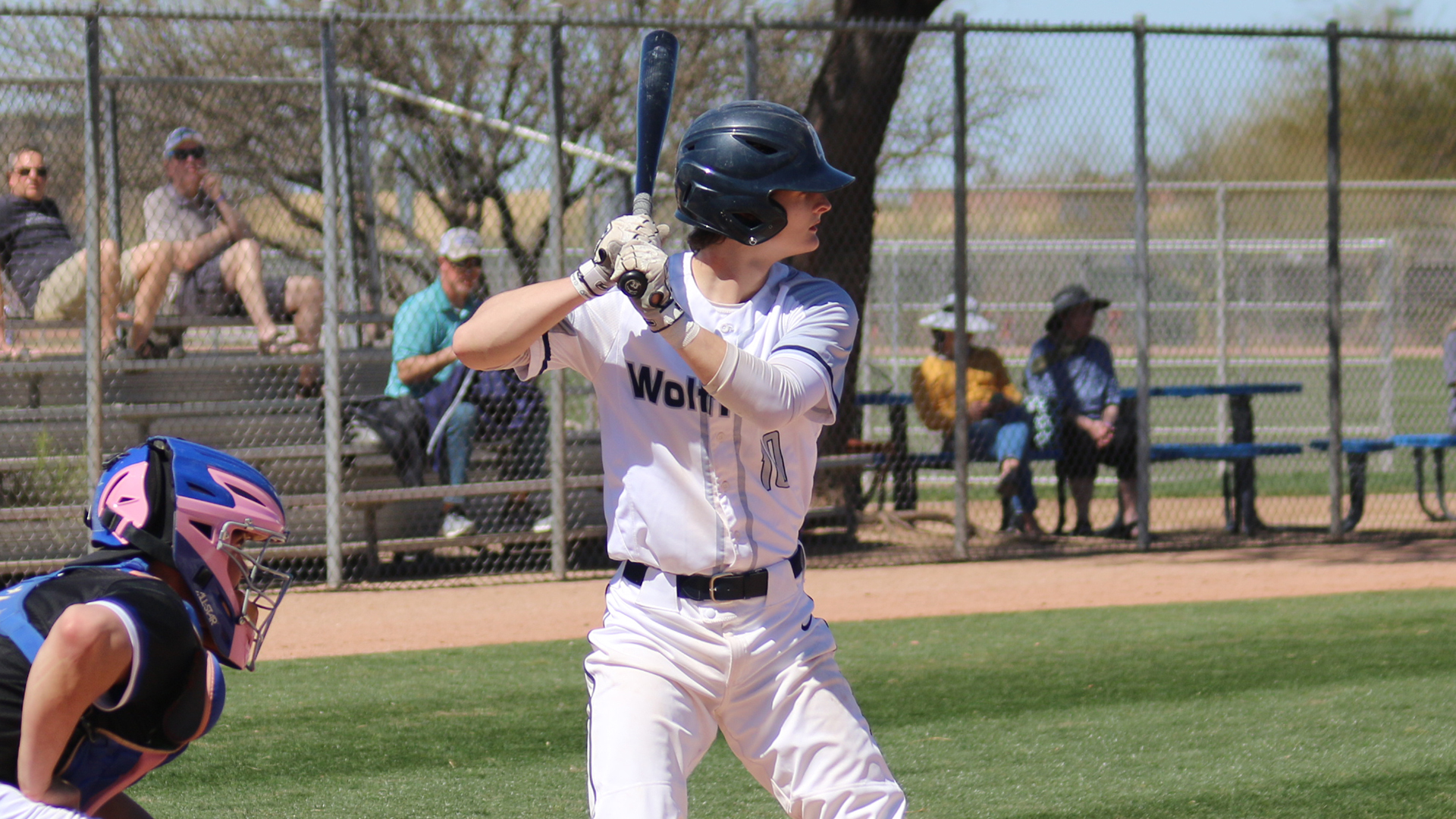 Nick Nowak 2023 Baseball Madison College Athletics