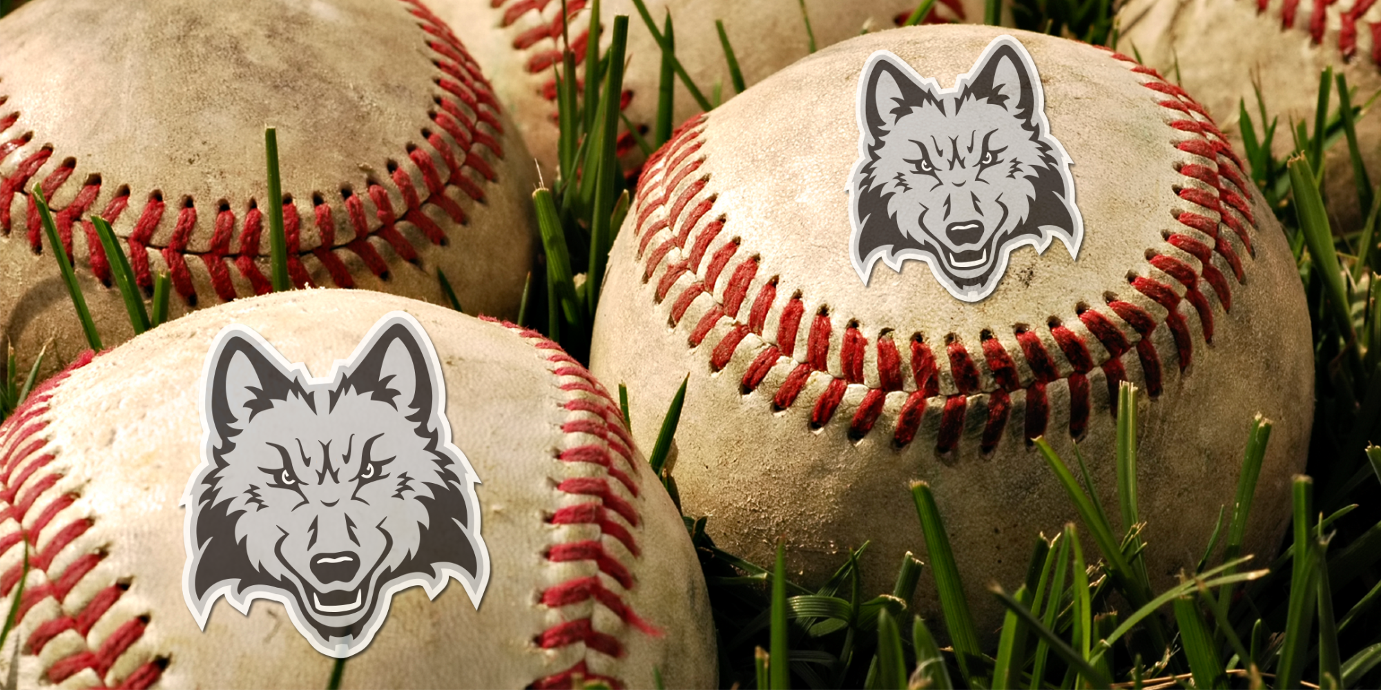 Baseball Spring Training