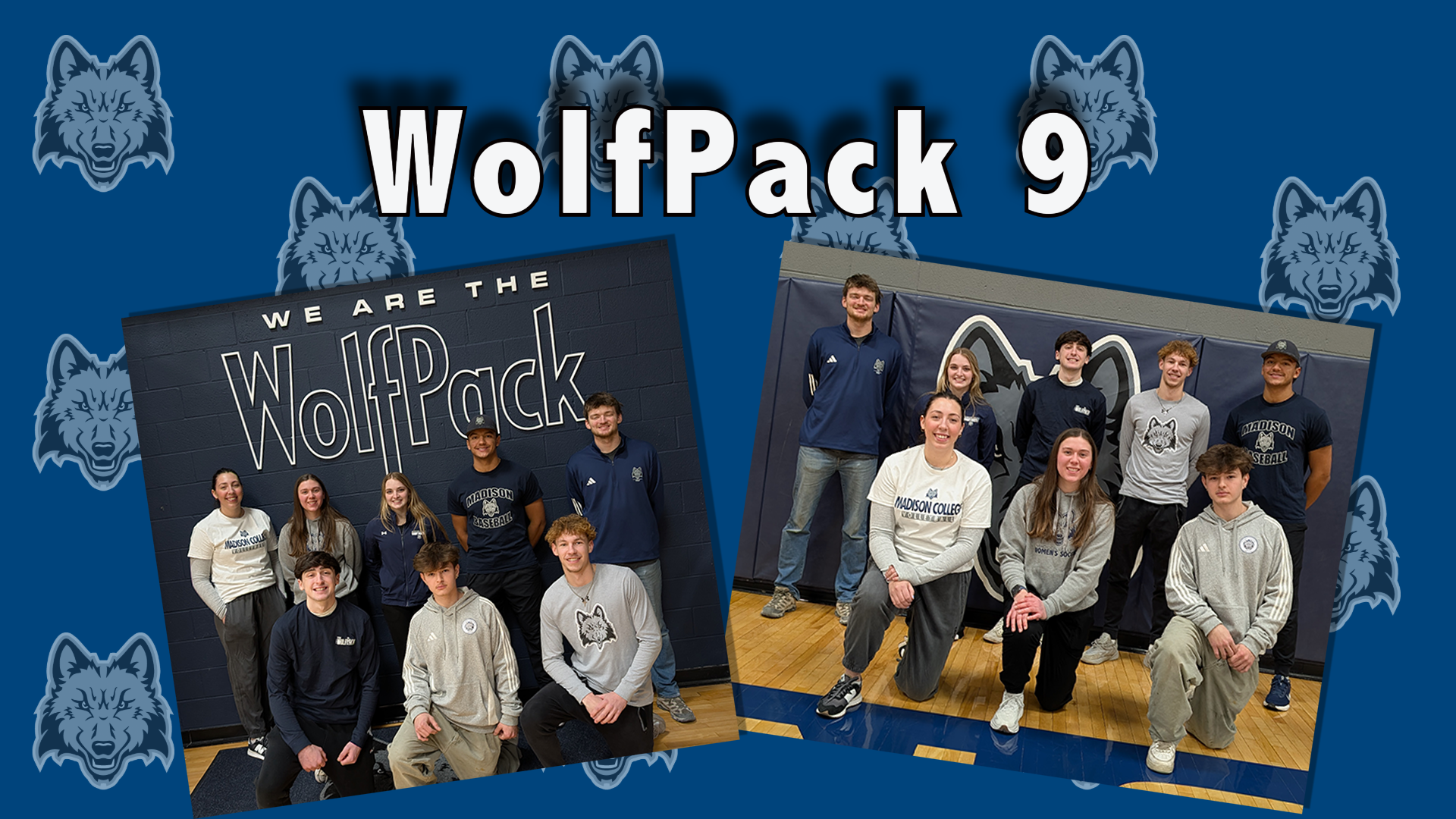 WolfPack 9 - Fall 2024