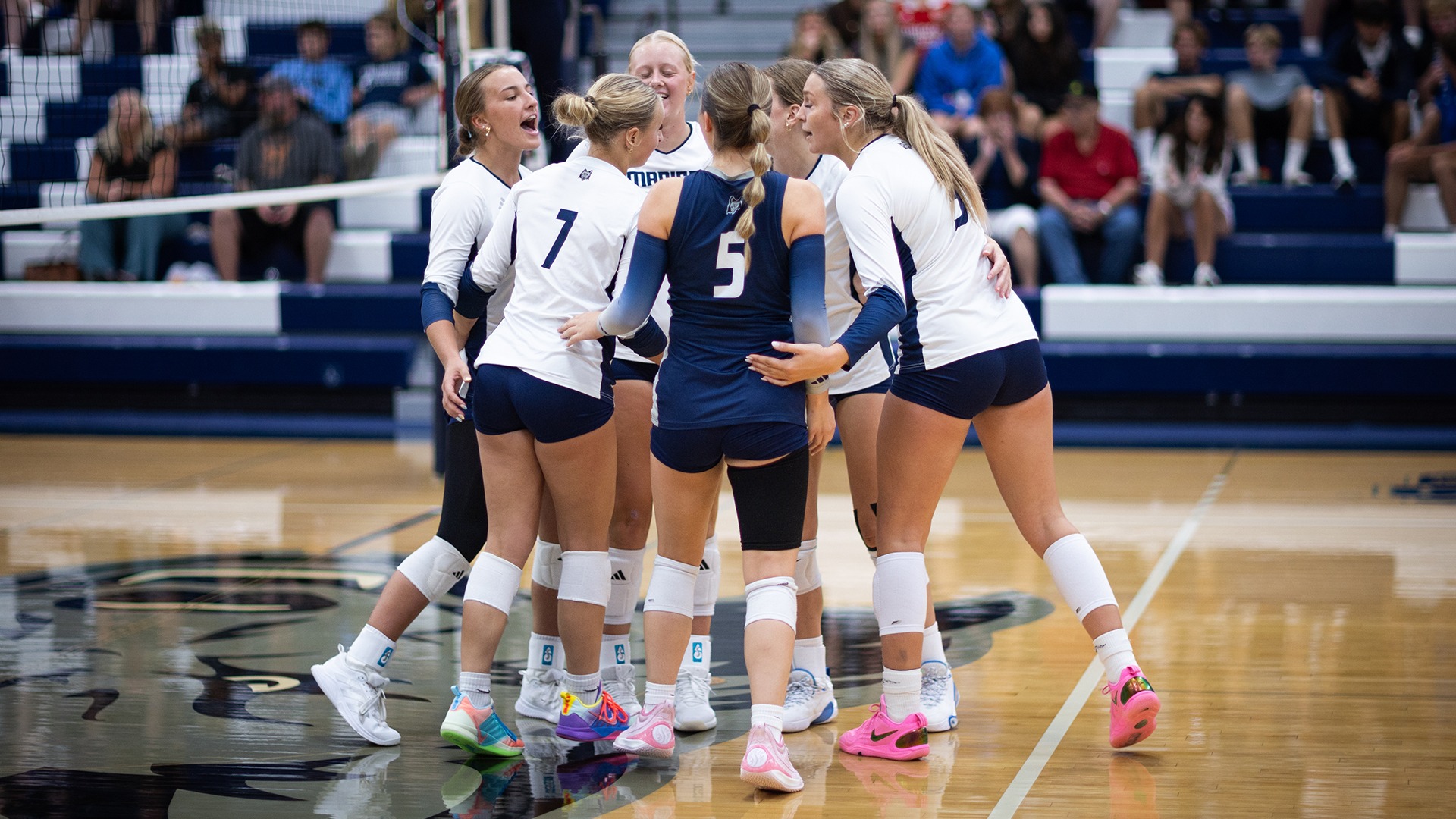 Volleyball team huddle celebrating a point won
