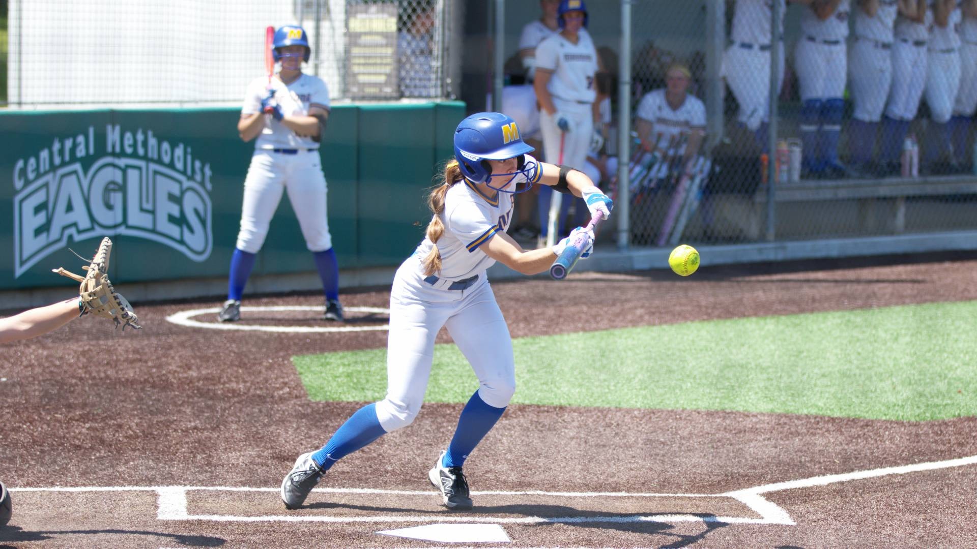 finky bunt