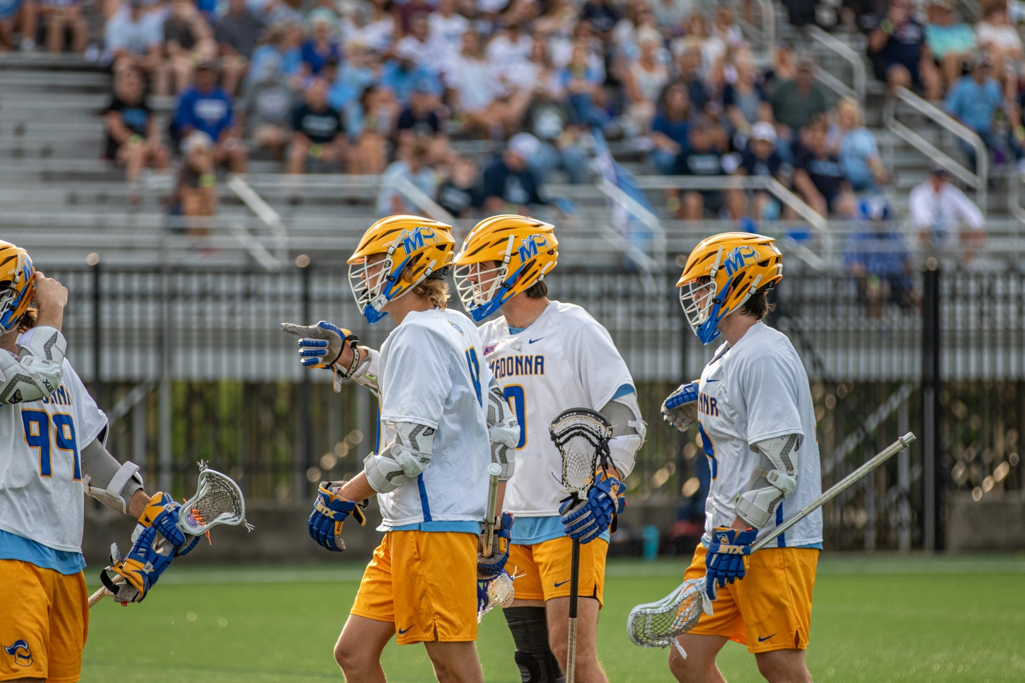Natty final
