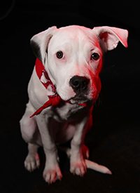 Luna Jewell Headshot 2024