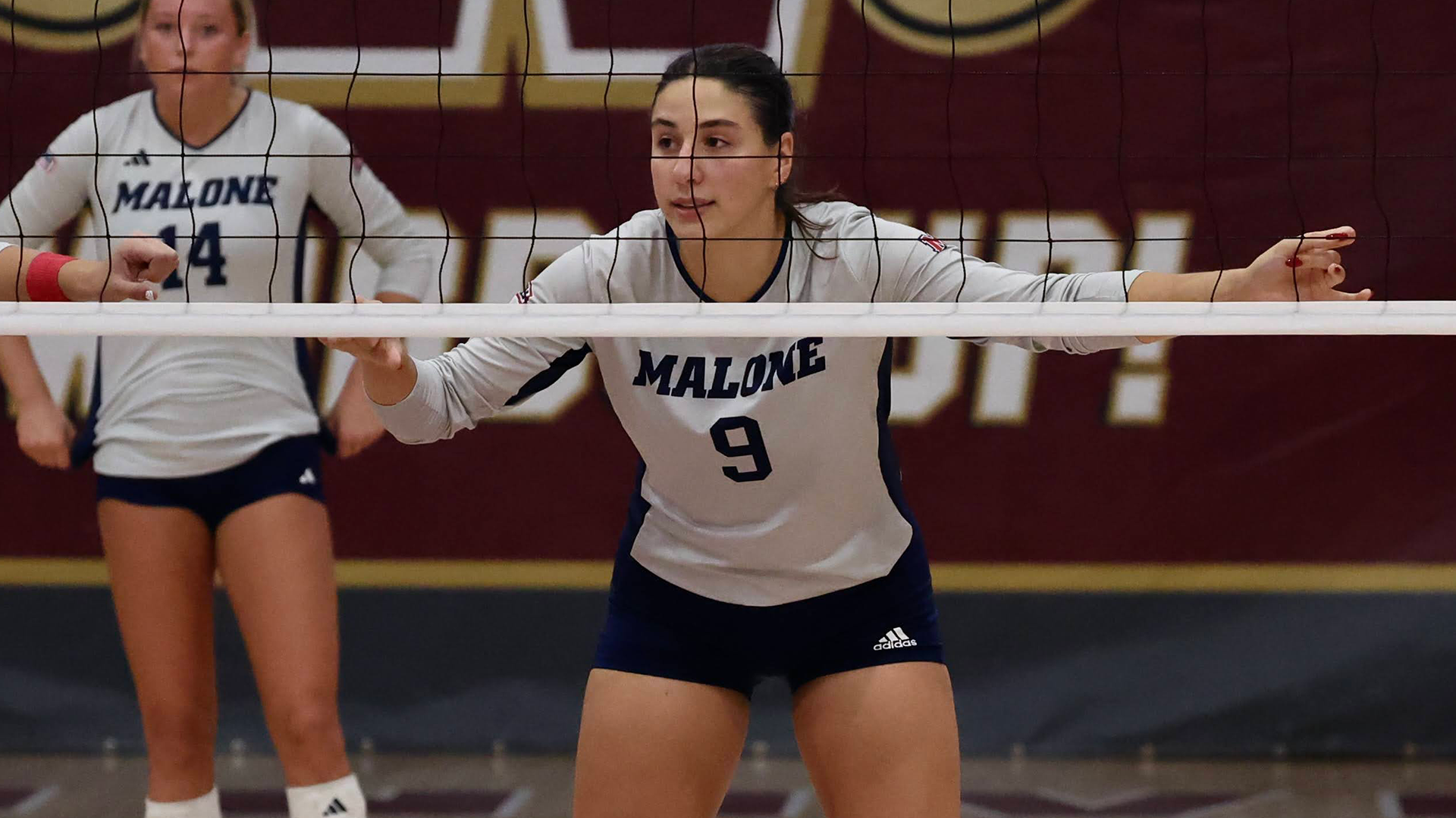 Wallick, Laiken action 11-15-25