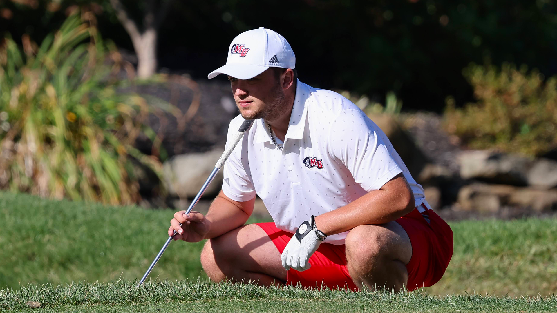 Cracker, Alfie action 4-11-26