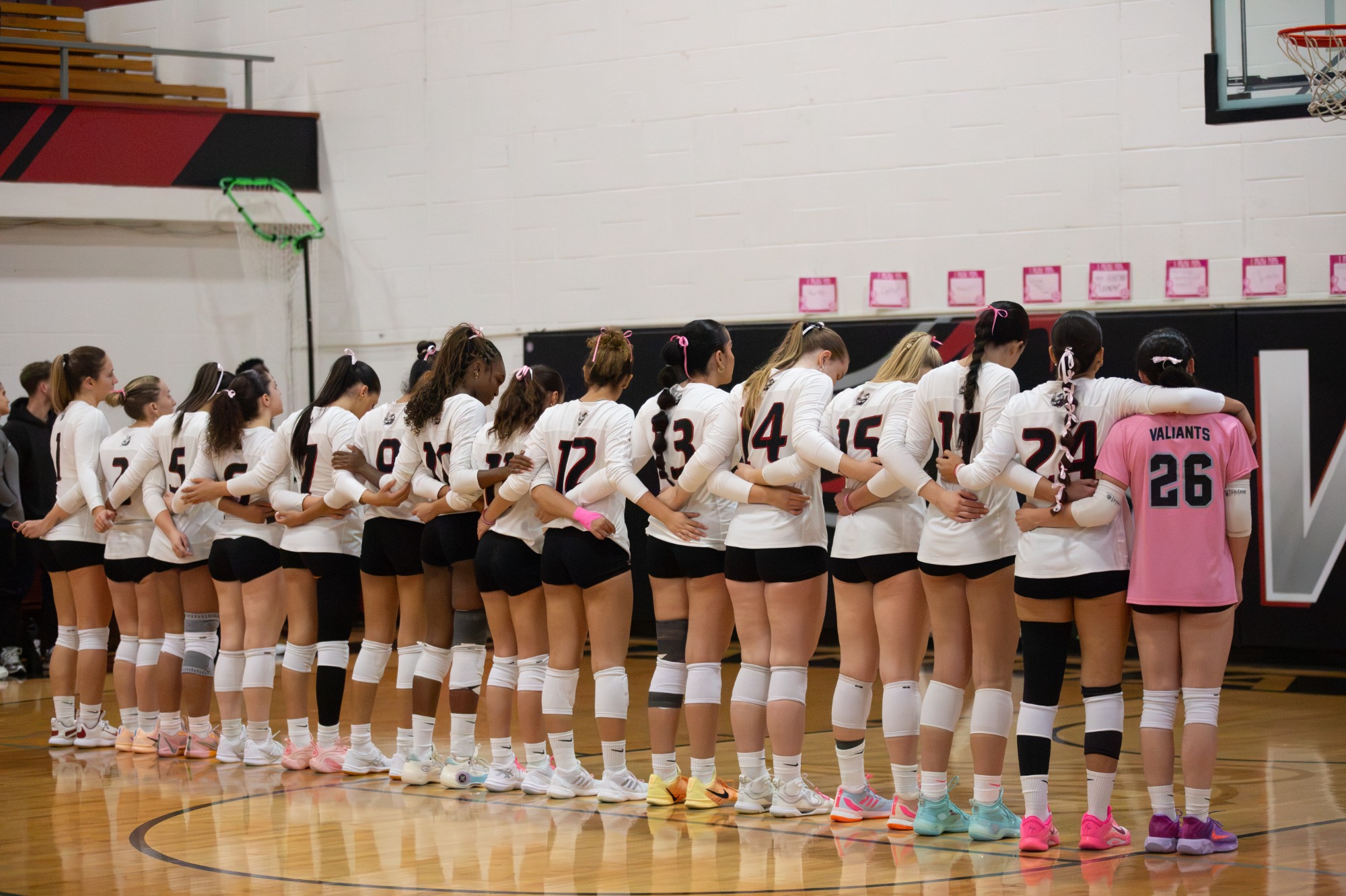 MVL vs MSMC