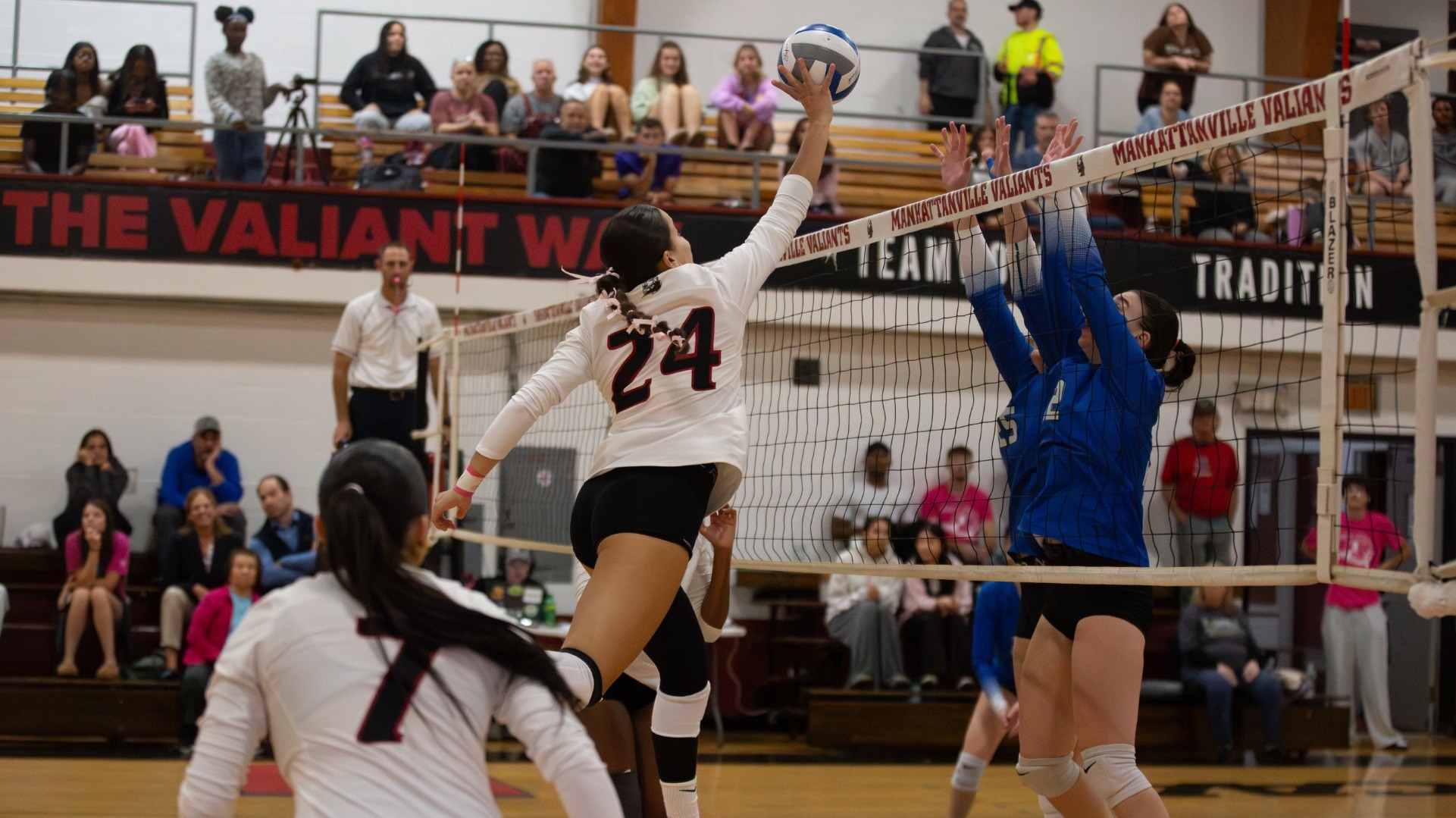 Aurea Obradors attack vs Mount Saint Mary