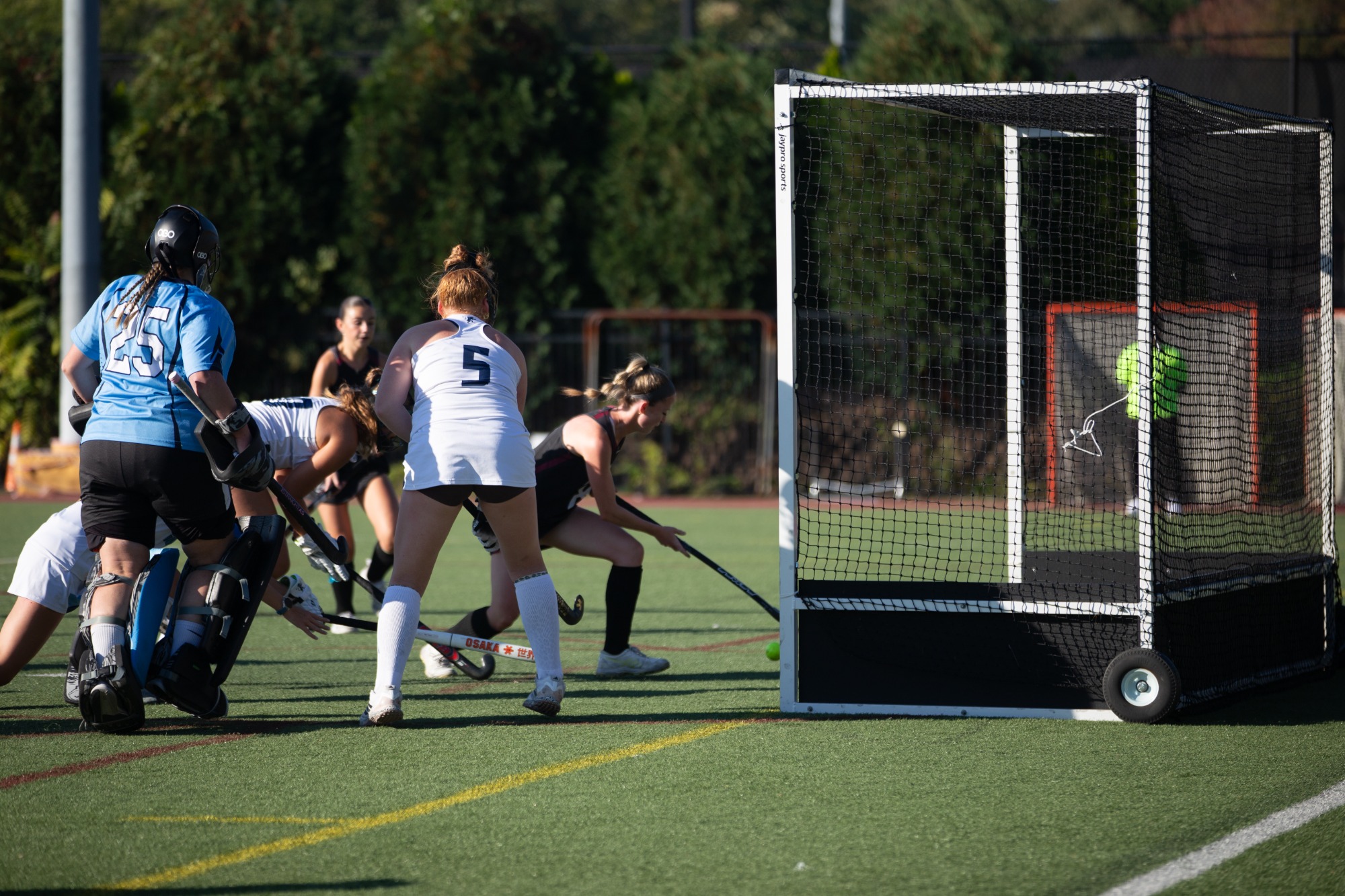 shannon scoring