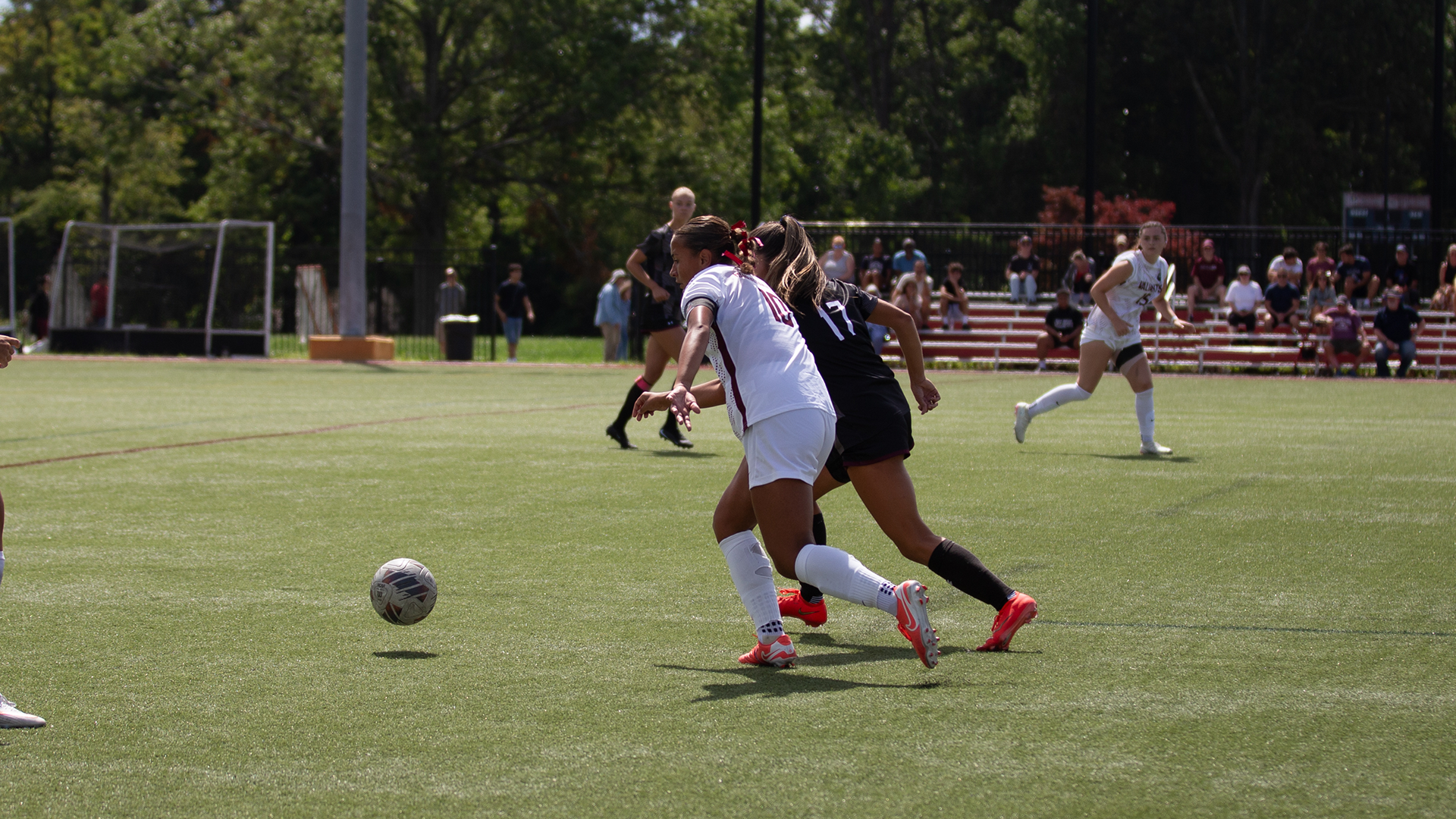 jennay against ramapo