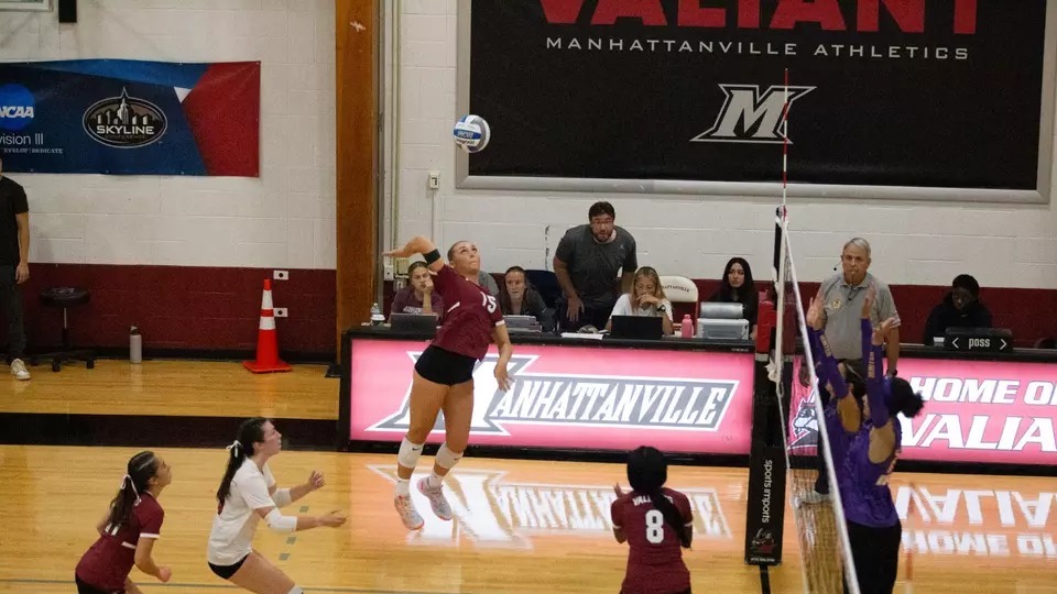 ava striking volleyball