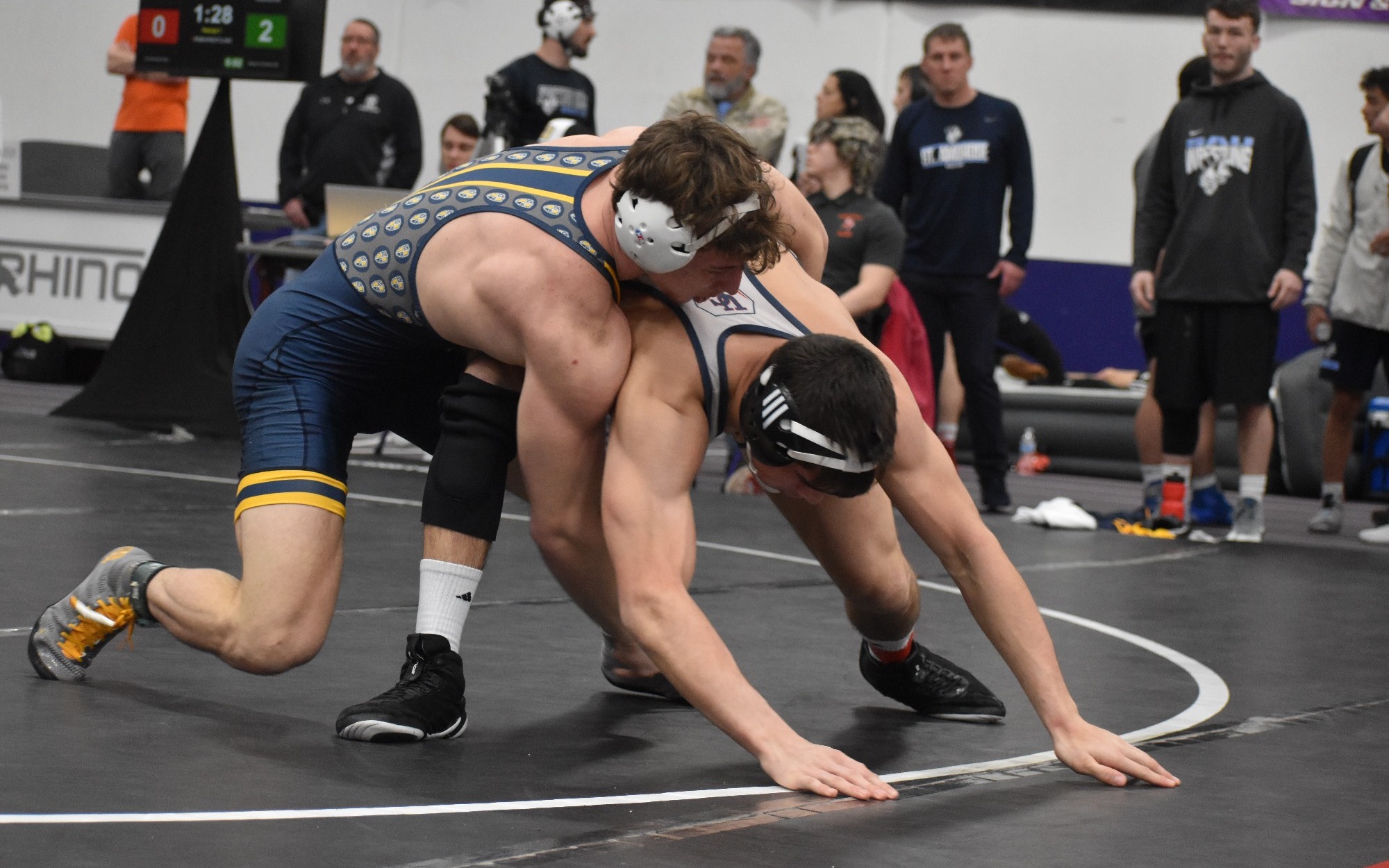 Hollendonner story smc