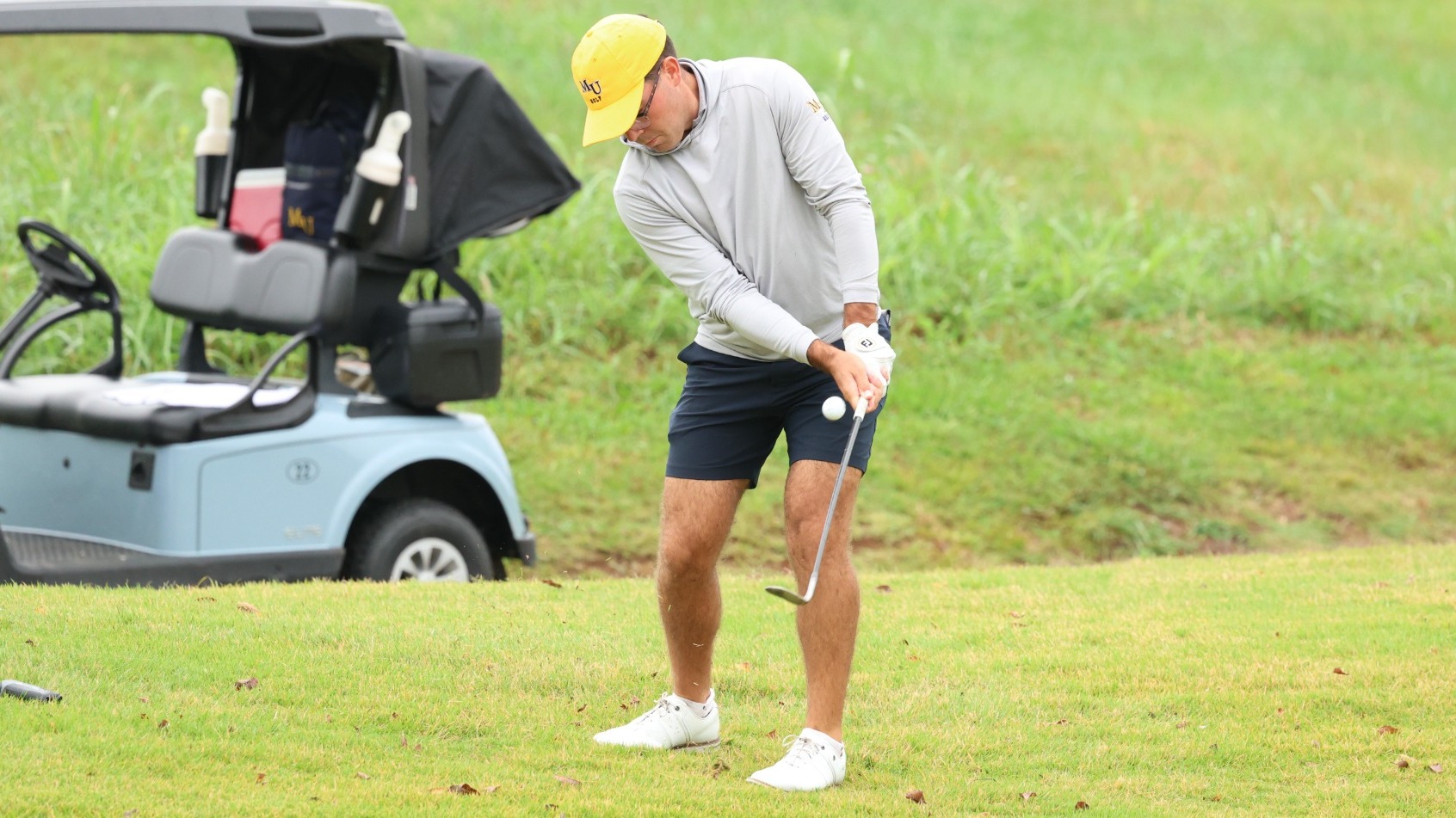 Potter Story Music City