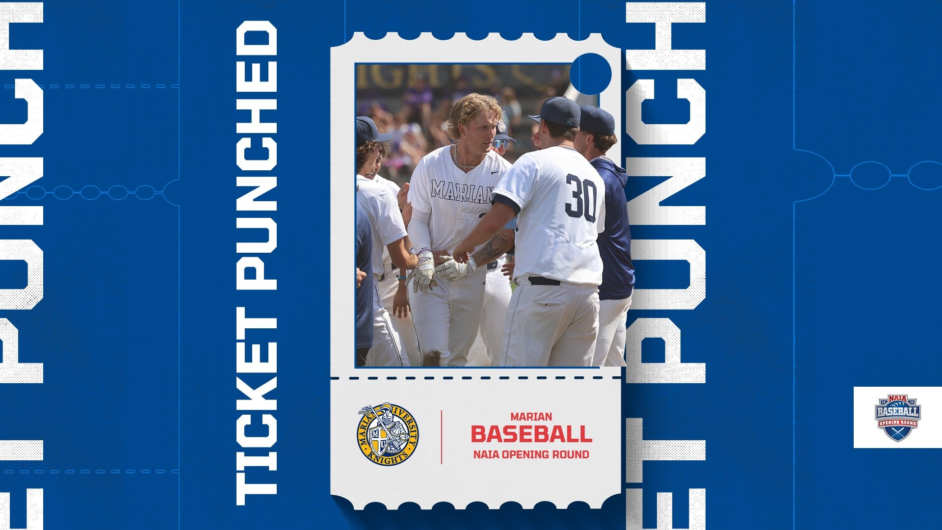 Baseball Ticket Punched 2026