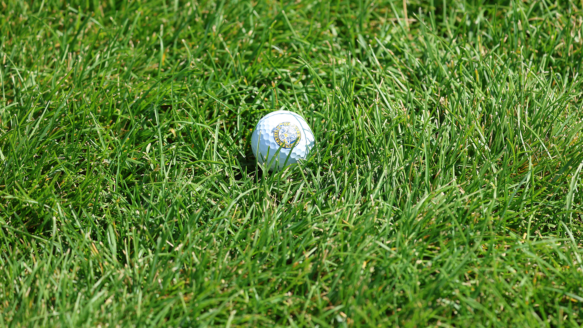 mgolf