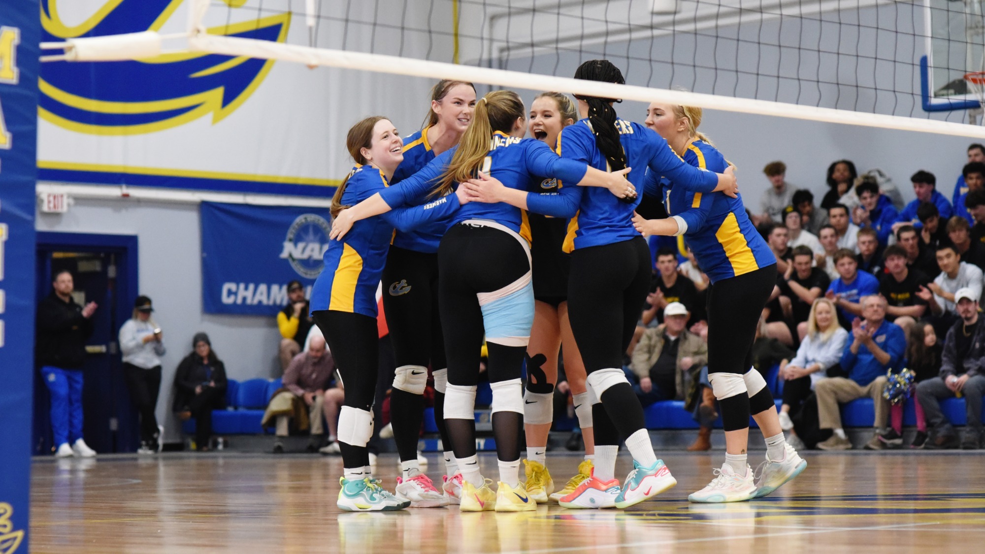 Team Volleyball 11925 1