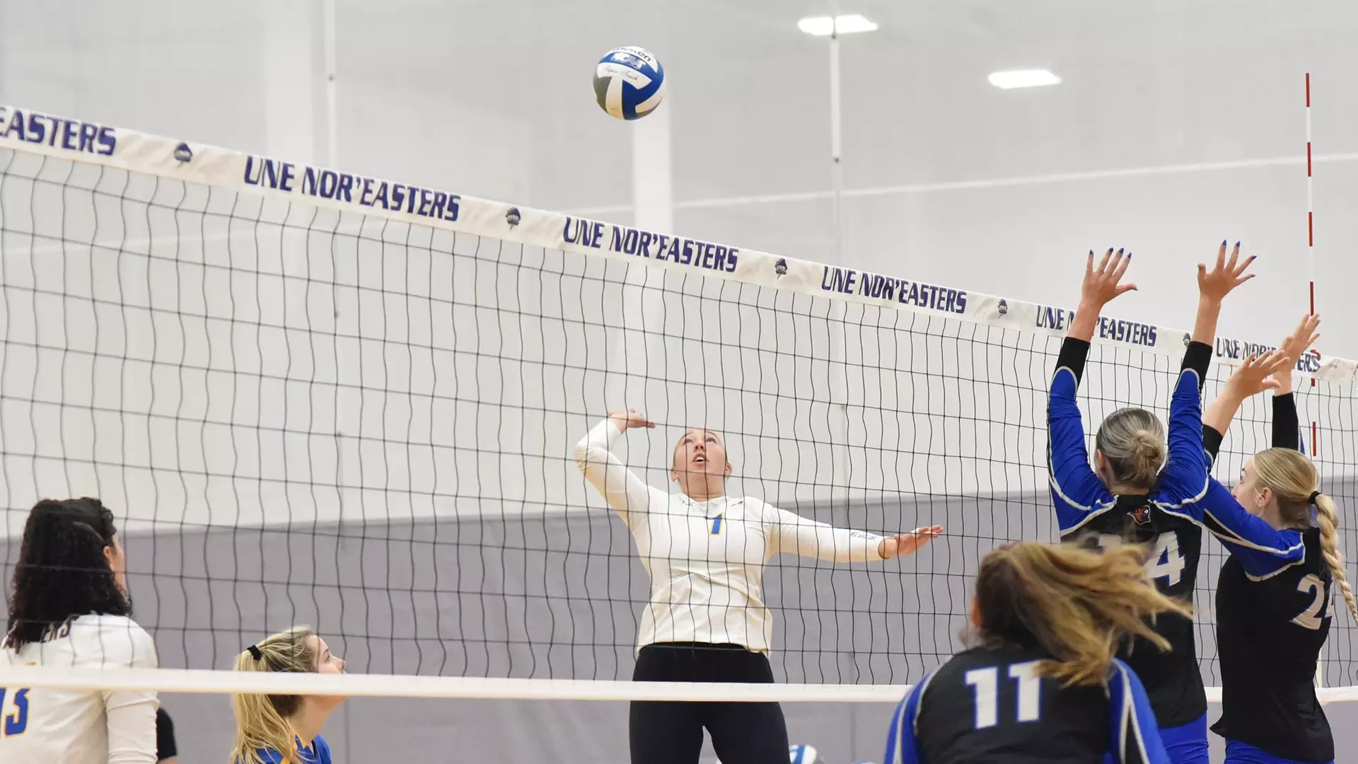 Ally Hadley action shots 12/17/25 1