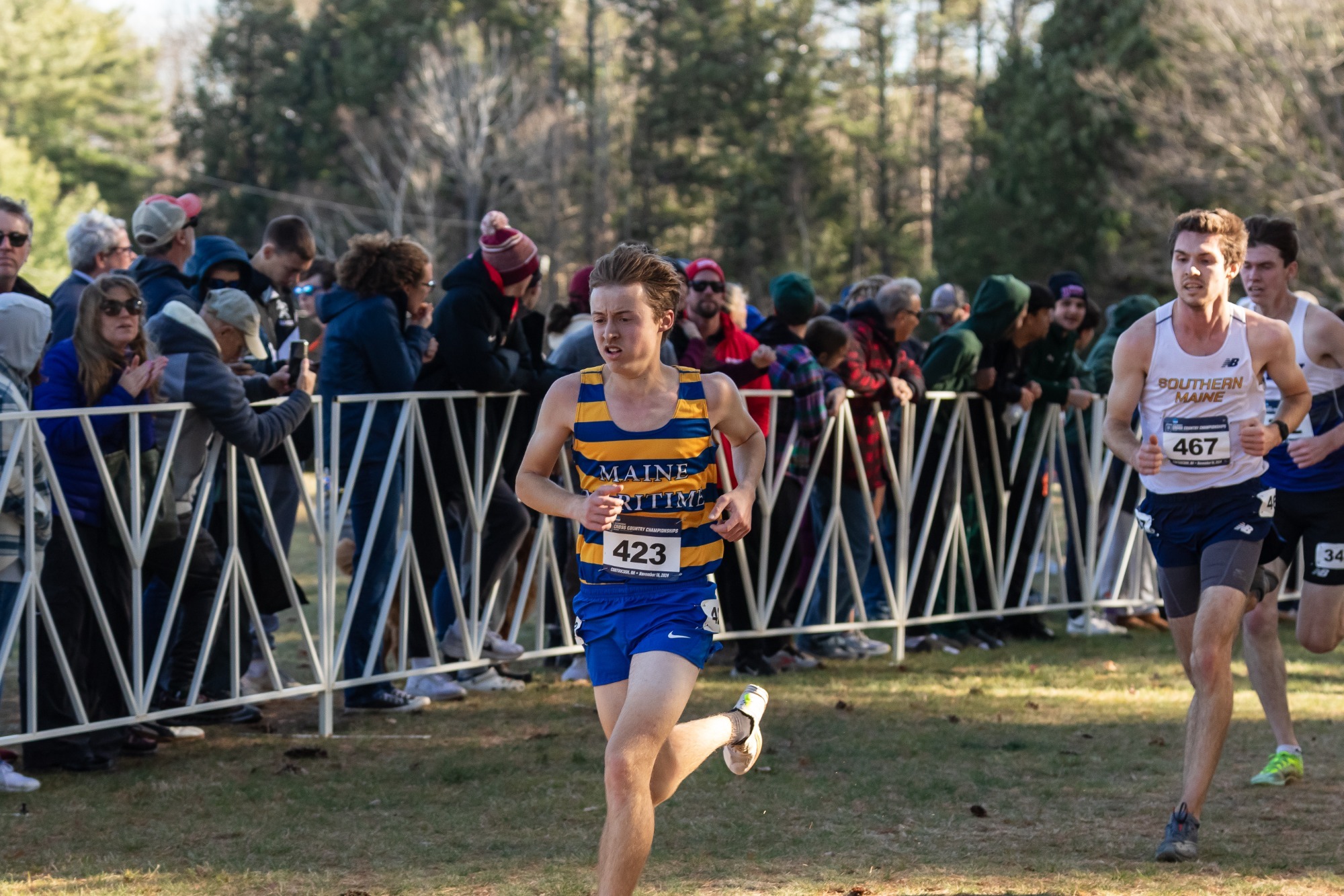 William Spaulding Men's Cross Country