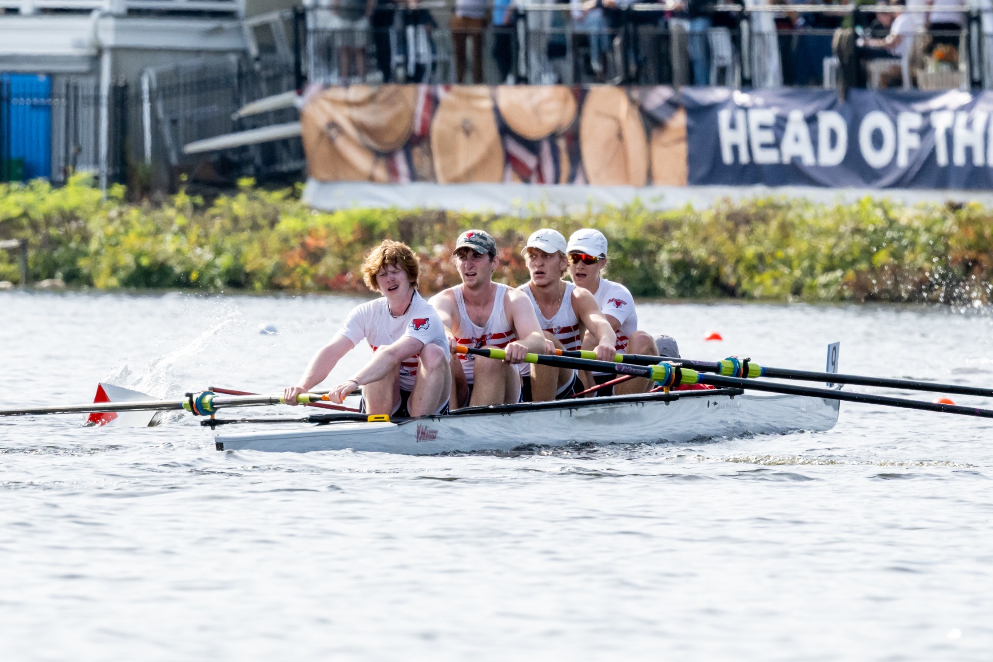Men's Rowing