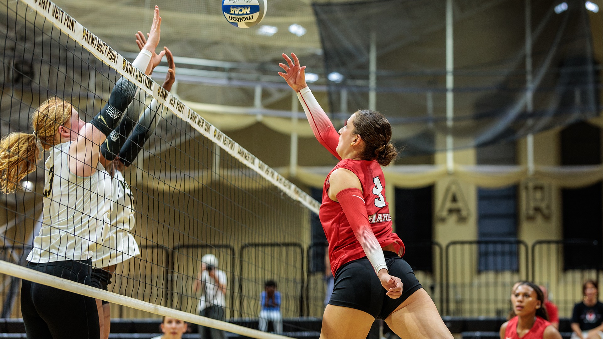 Volleyball - Sara Dasic