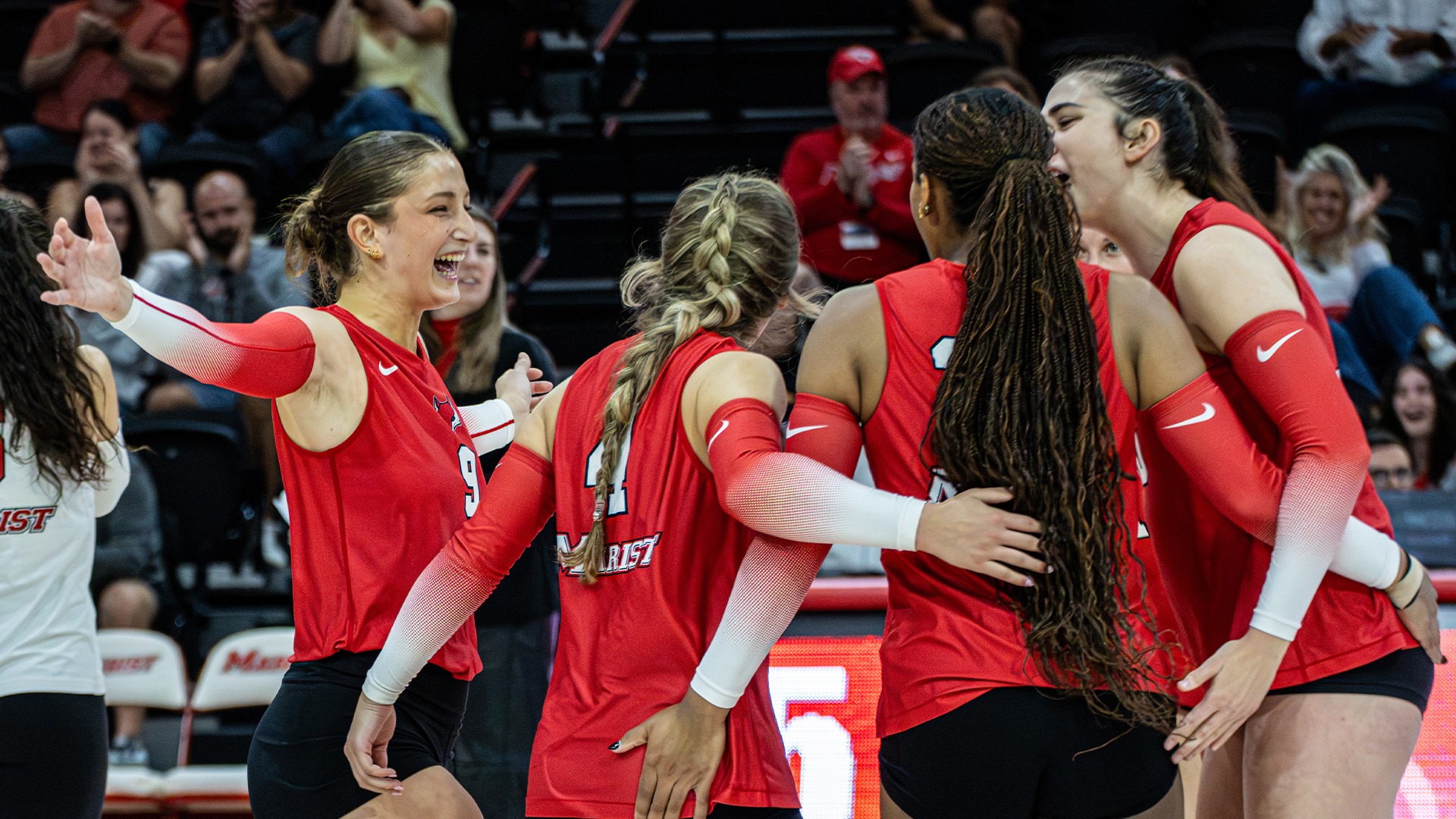 Volleyball - Celebration